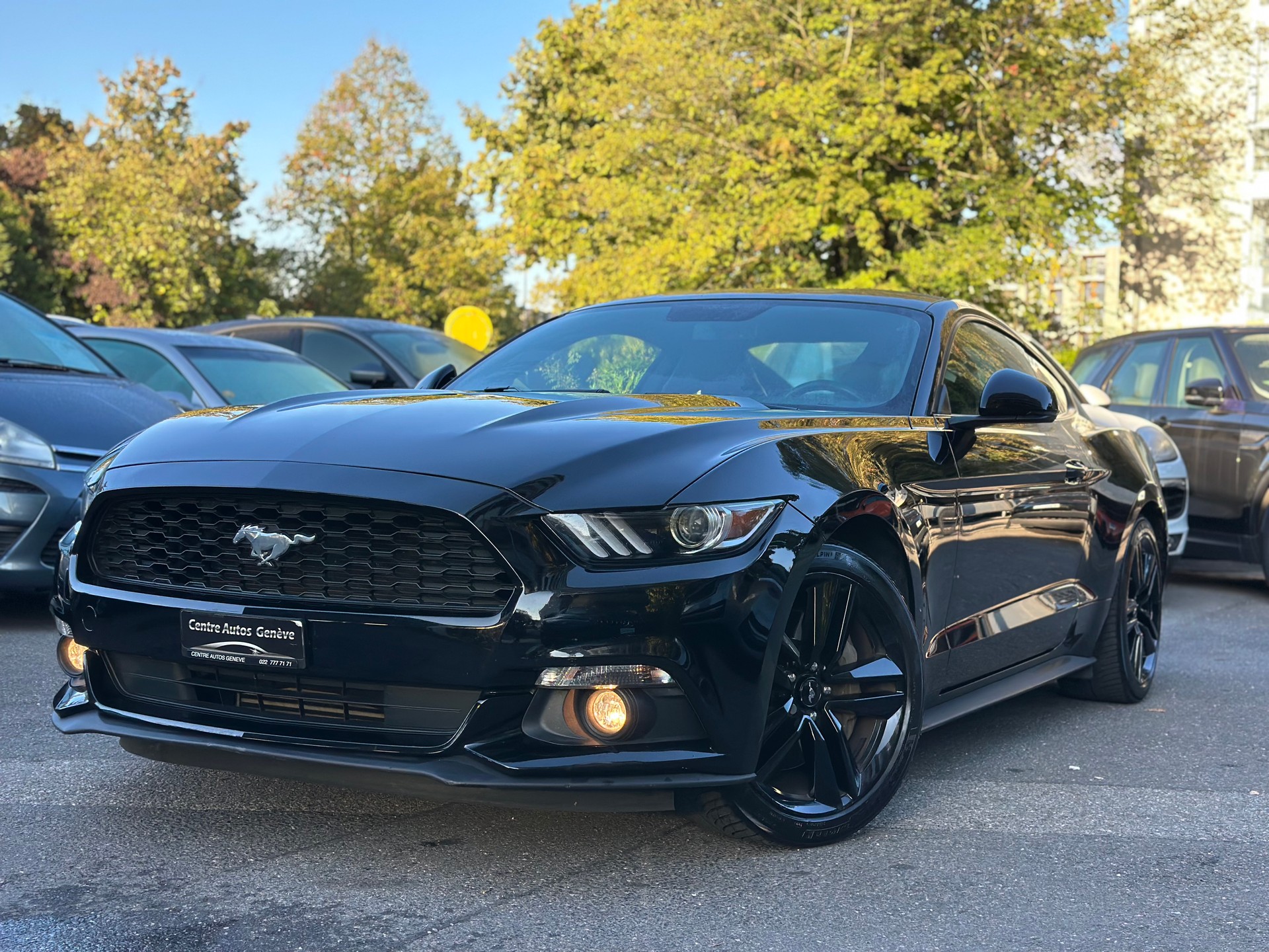 FORD Mustang Fastback 2.3-image-1