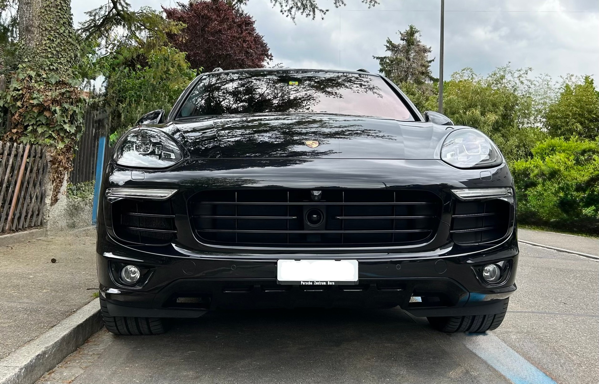 PORSCHE Cayenne S E-Hybrid Platinum Edition-image-3