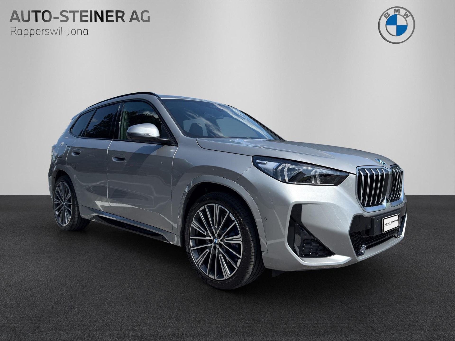 BMW X1 30e xDrive paddles-image-6