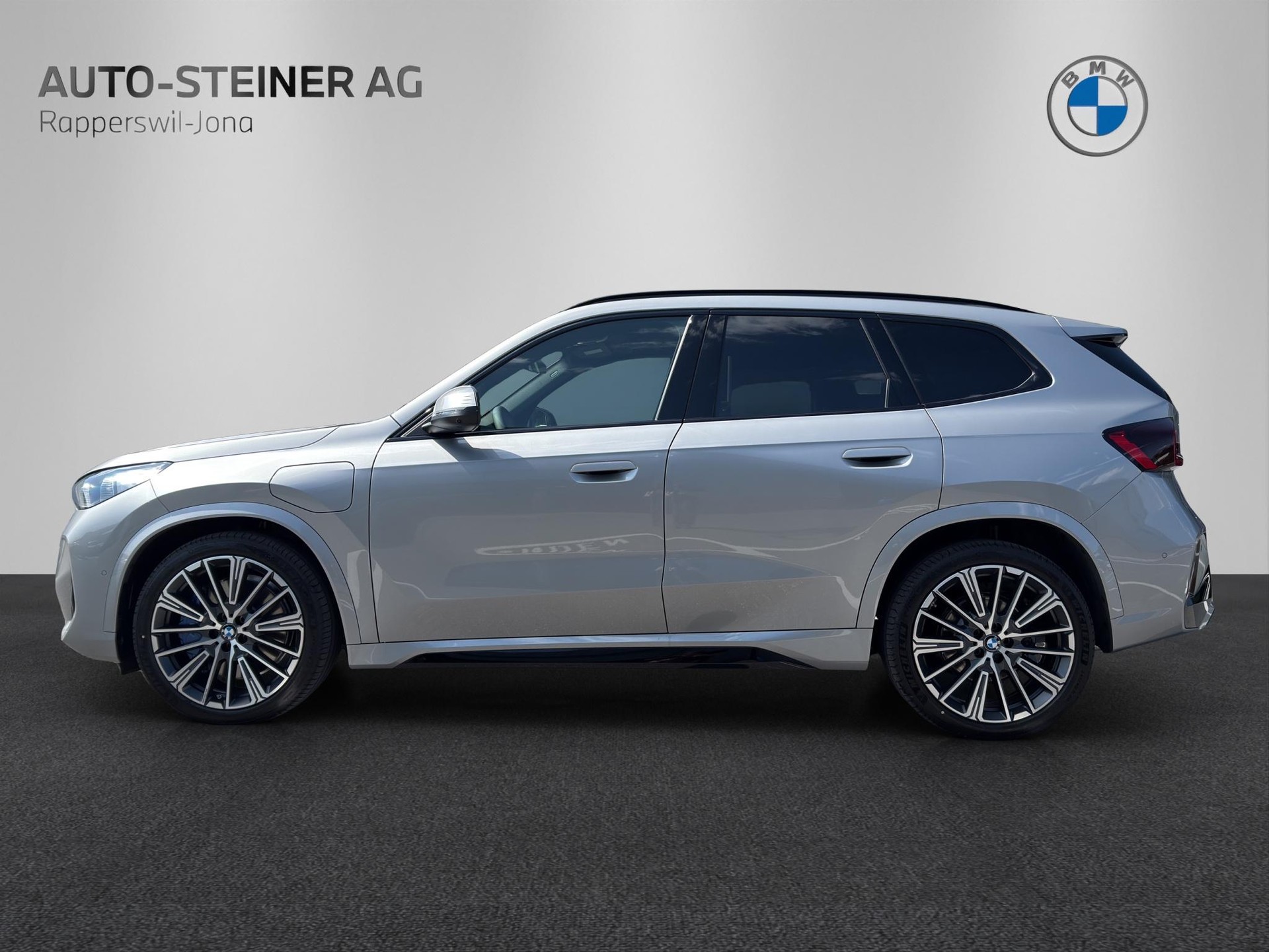 BMW X1 30e xDrive paddles-image-1