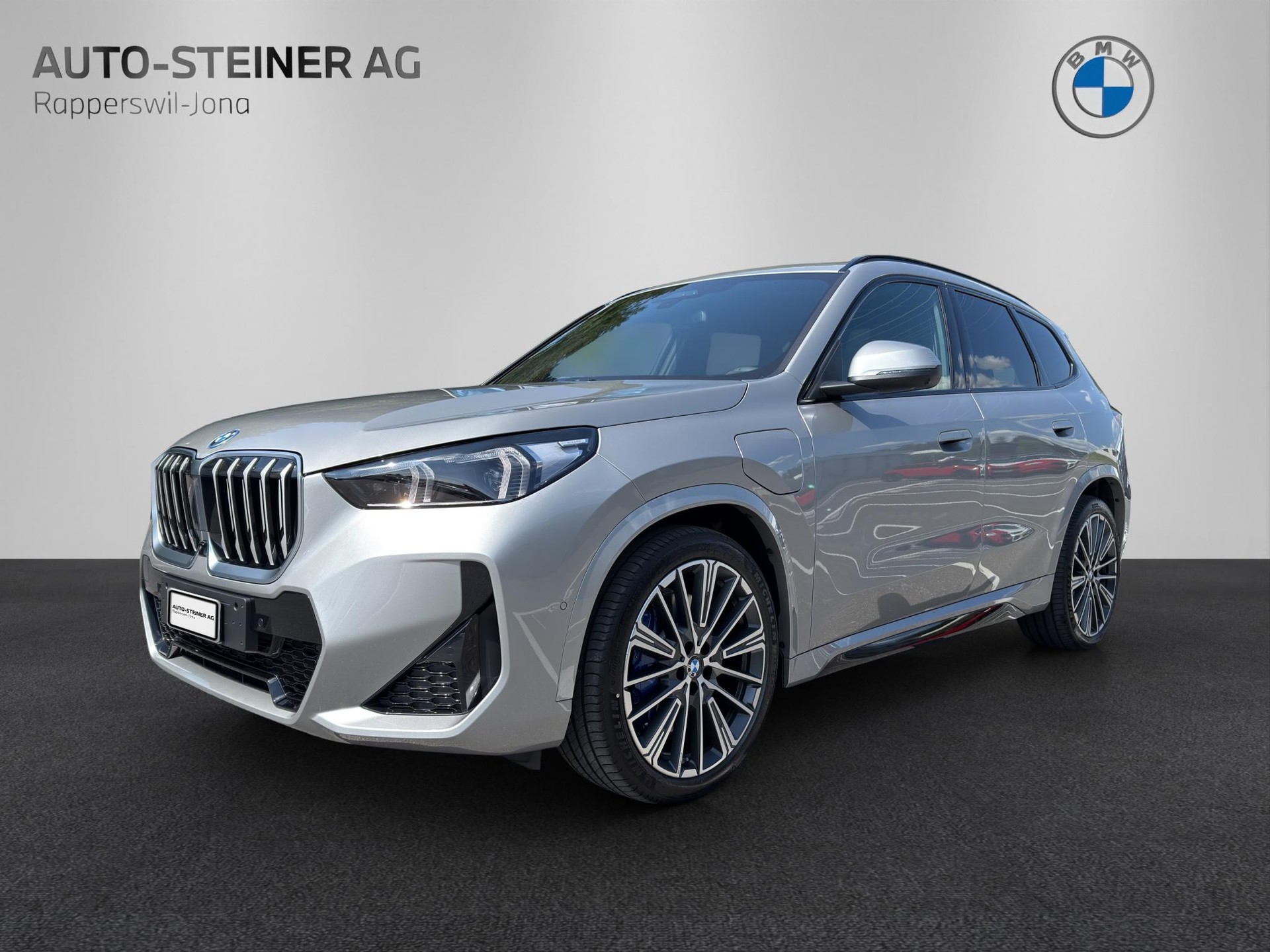 BMW X1 30e xDrive paddles-image-0
