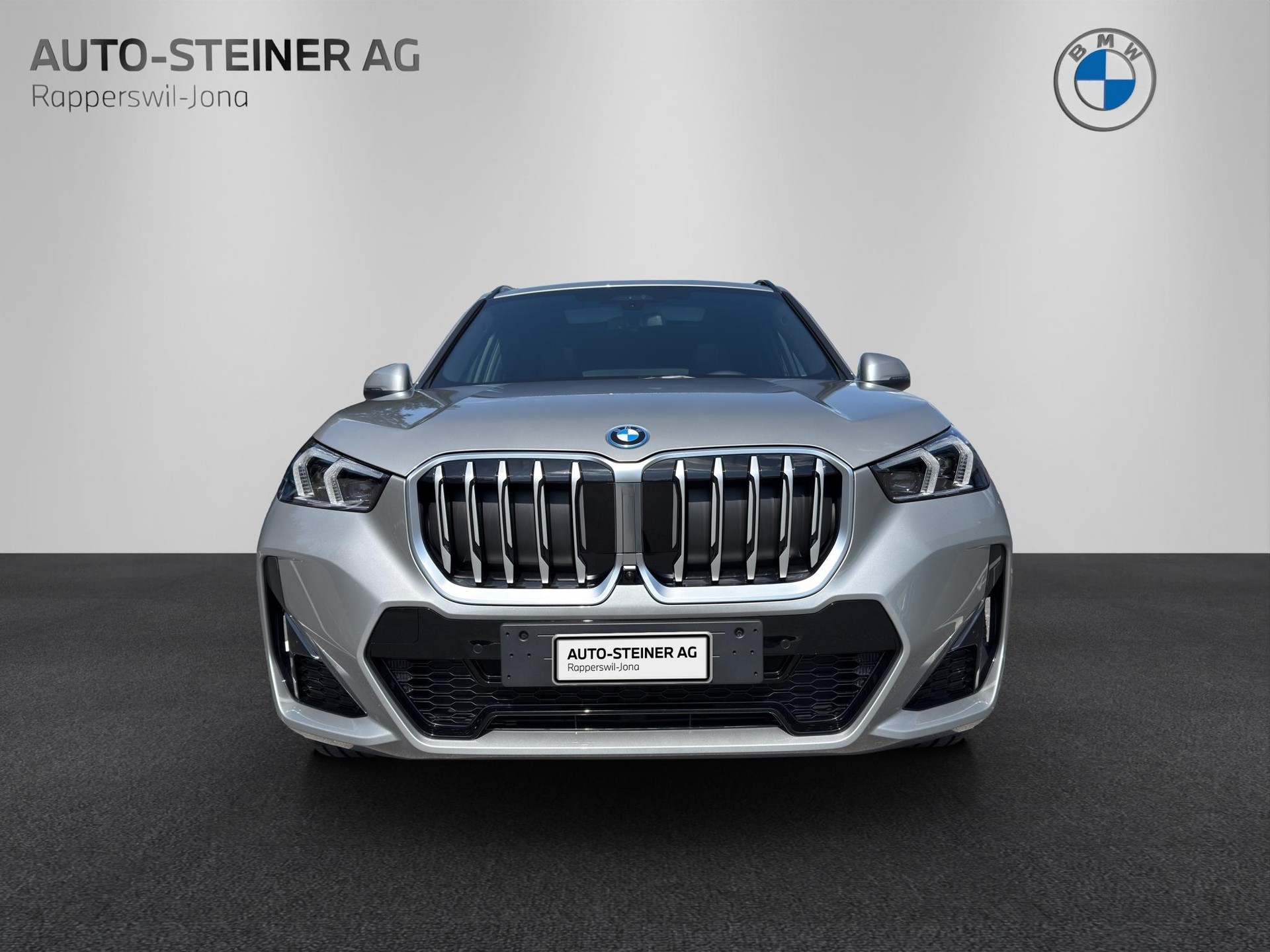 BMW X1 30e xDrive paddles-image-7