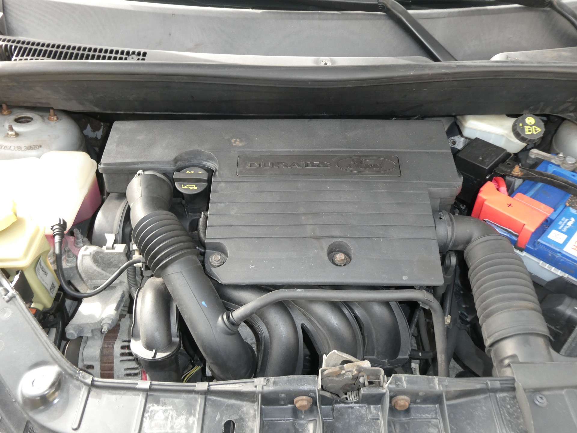 FORD Fusion 1.6 16V Trend-image-12