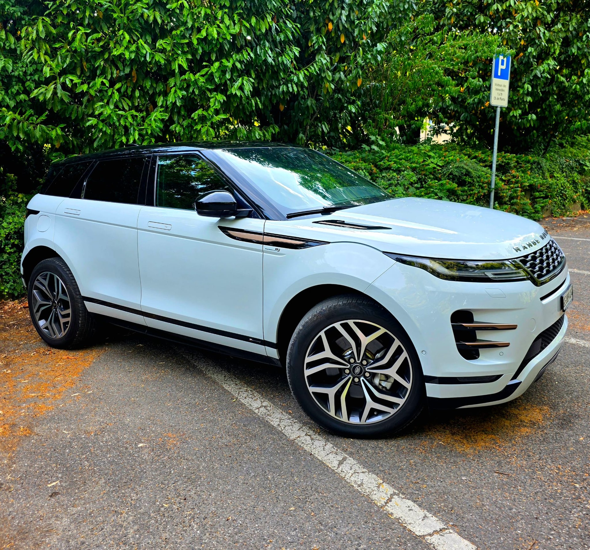LAND ROVER 2.0 T 250 First Edition-image-5