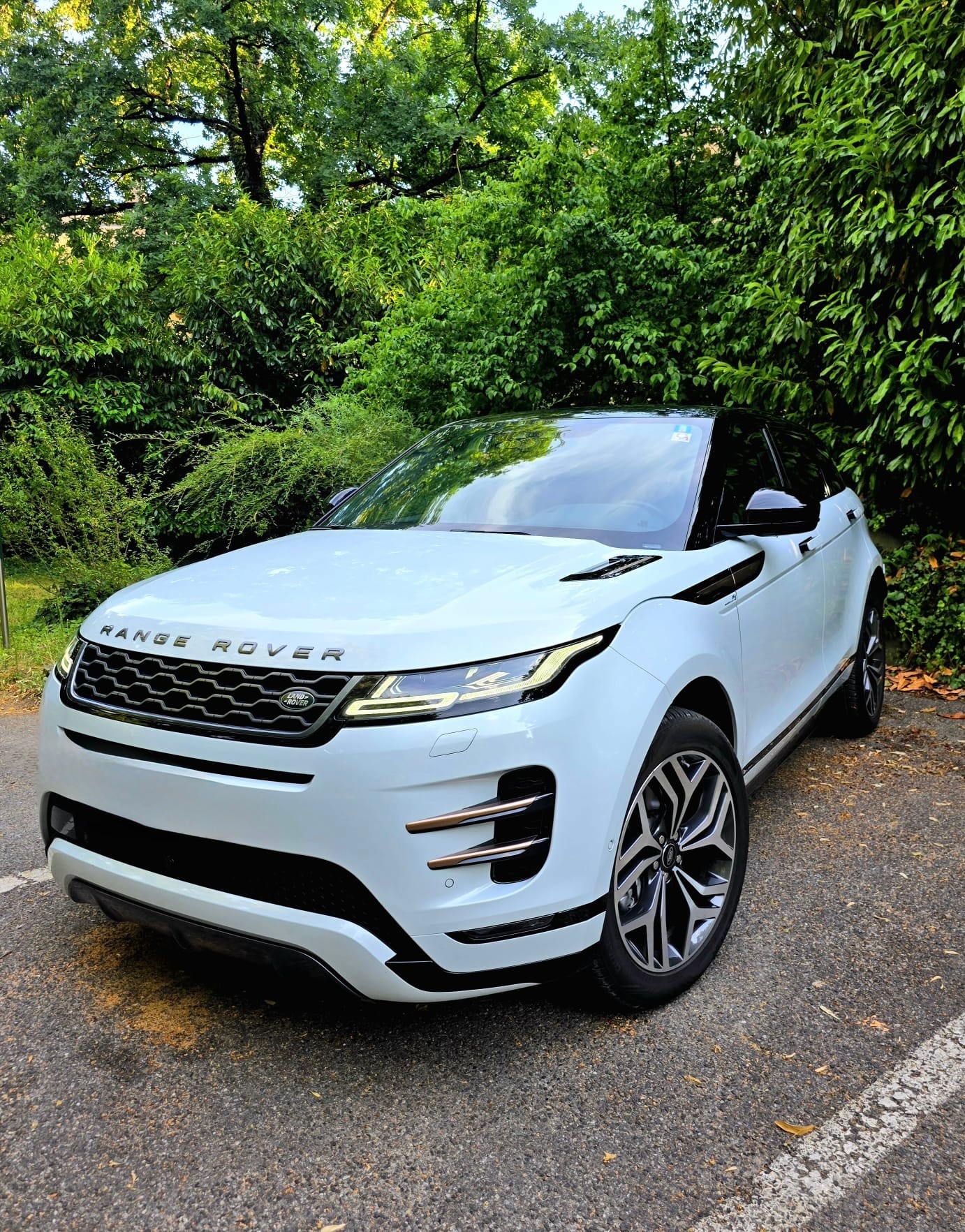 LAND ROVER 2.0 T 250 First Edition-image-4