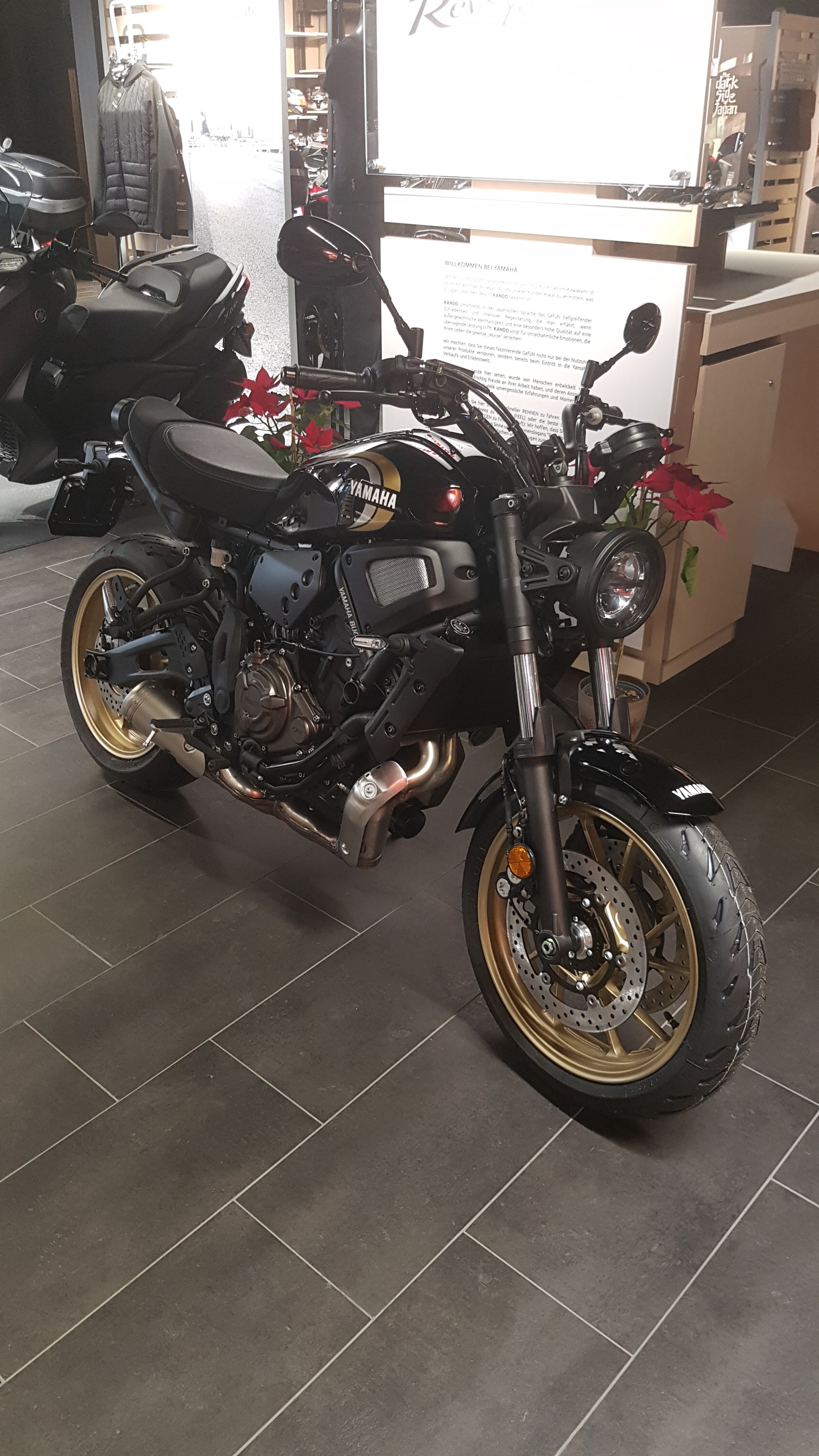 YAMAHA XSR 700-image-1