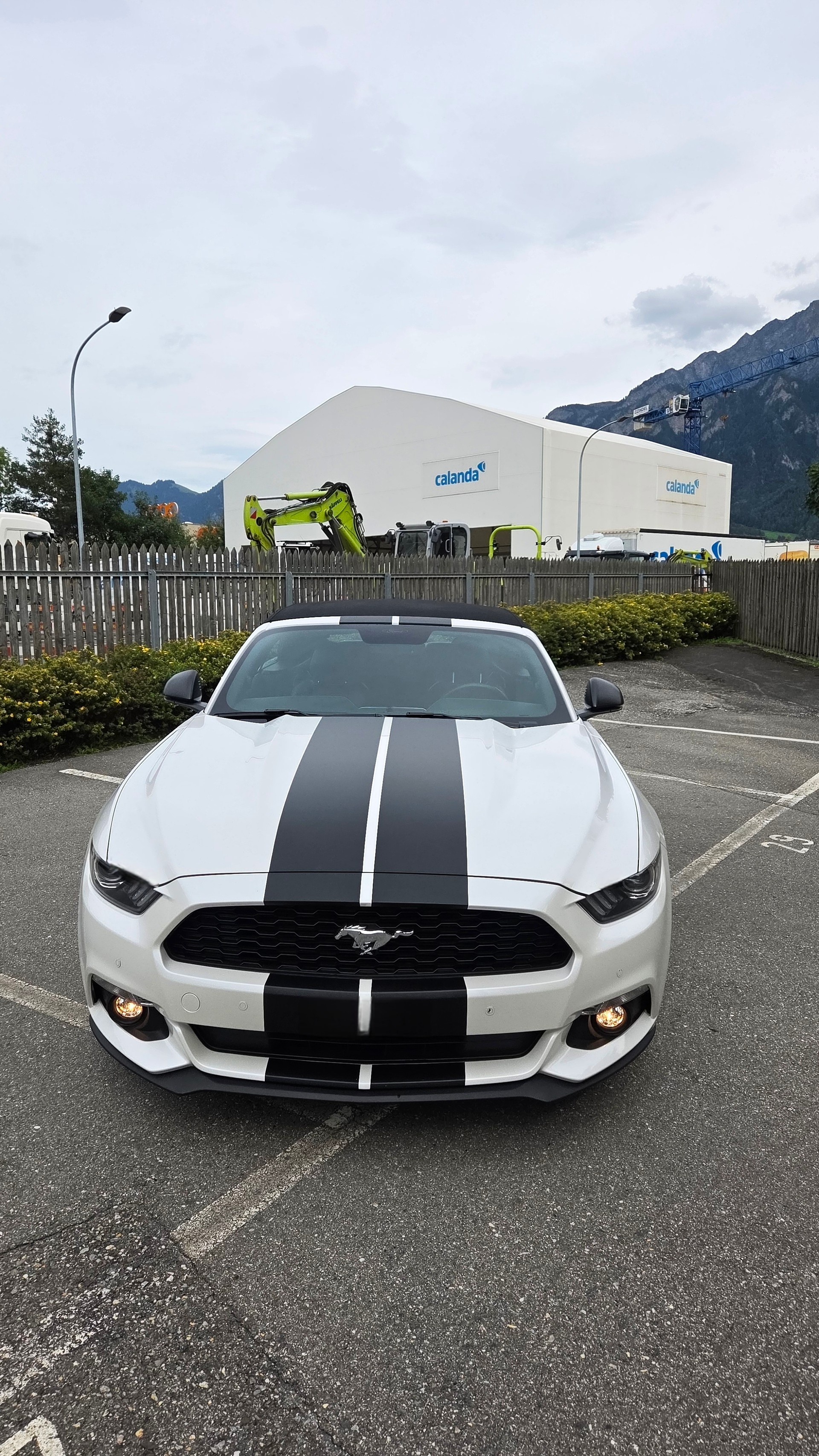 FORD Mustang Convertible 2.3 Automat-image-6