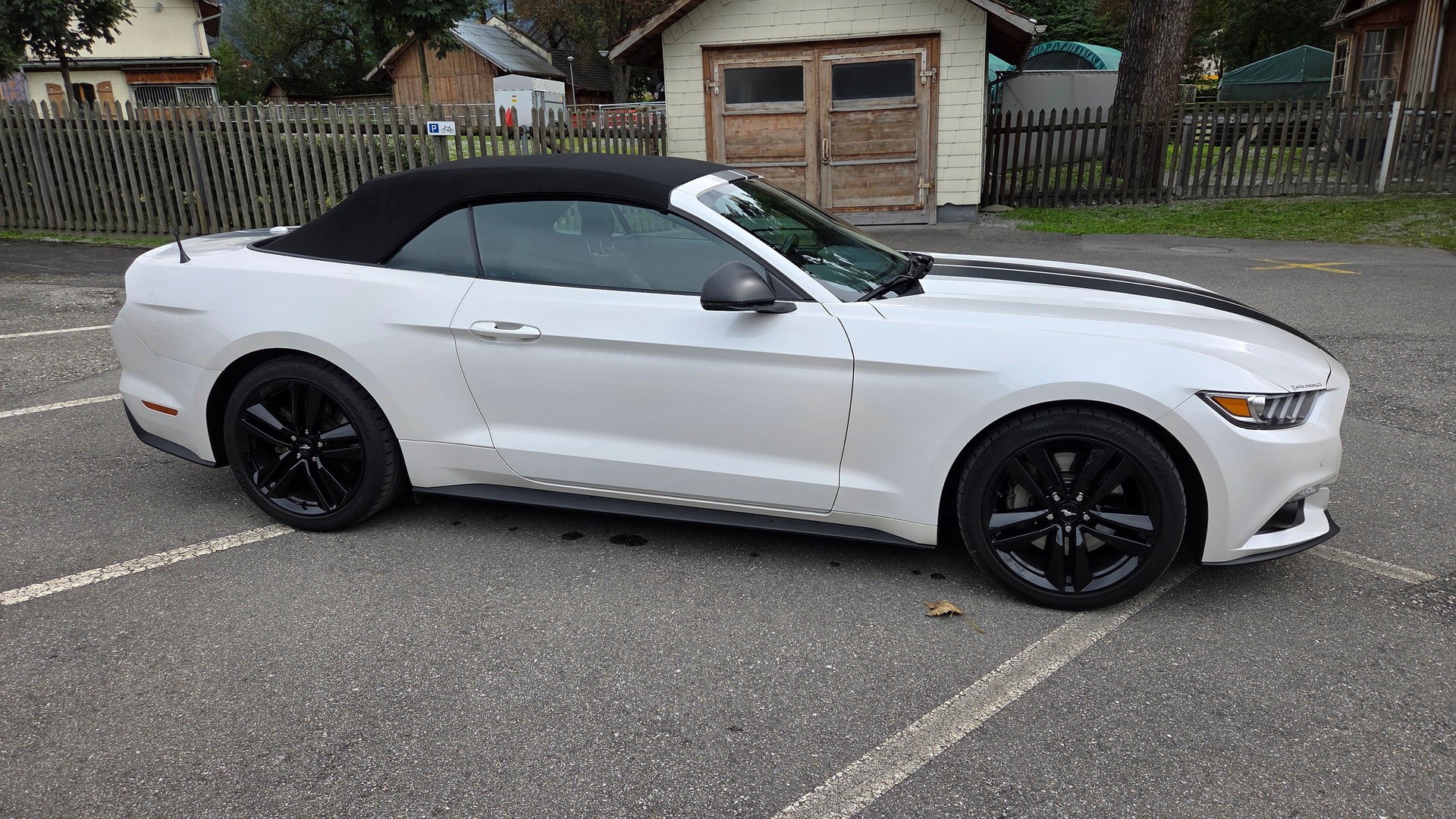 FORD Mustang Convertible 2.3 Automat-image-4