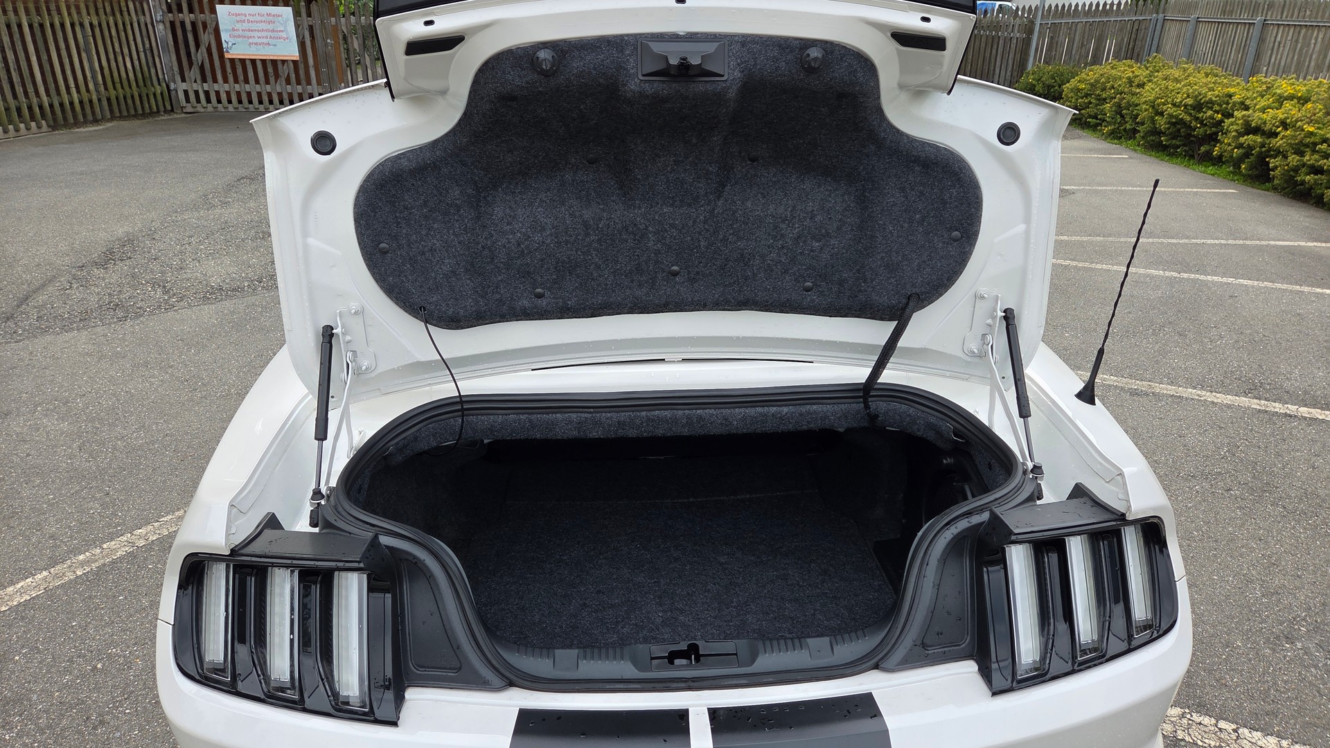 FORD Mustang Convertible 2.3 Automat-image-3