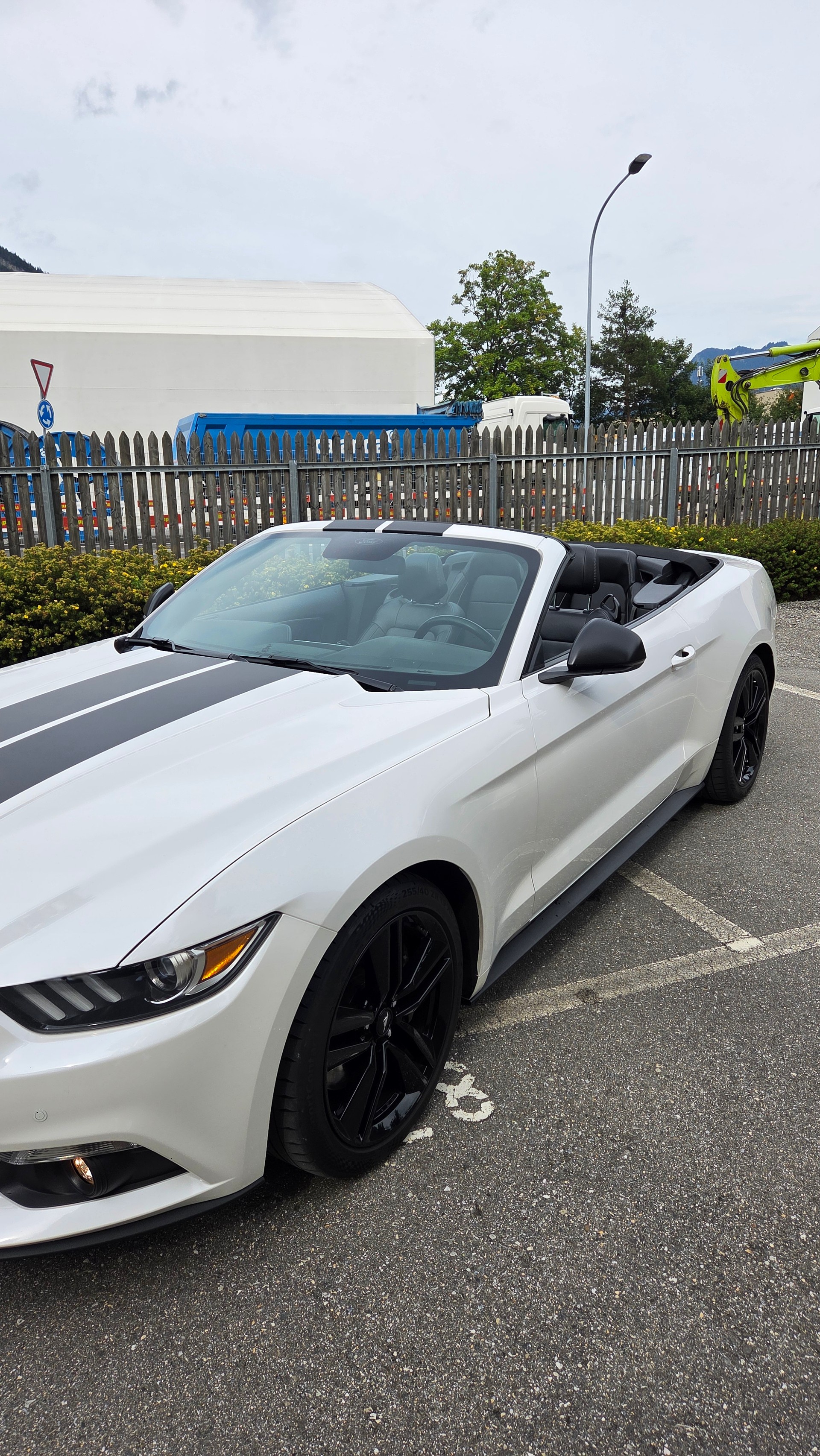 FORD Mustang Convertible 2.3 Automat-image-0