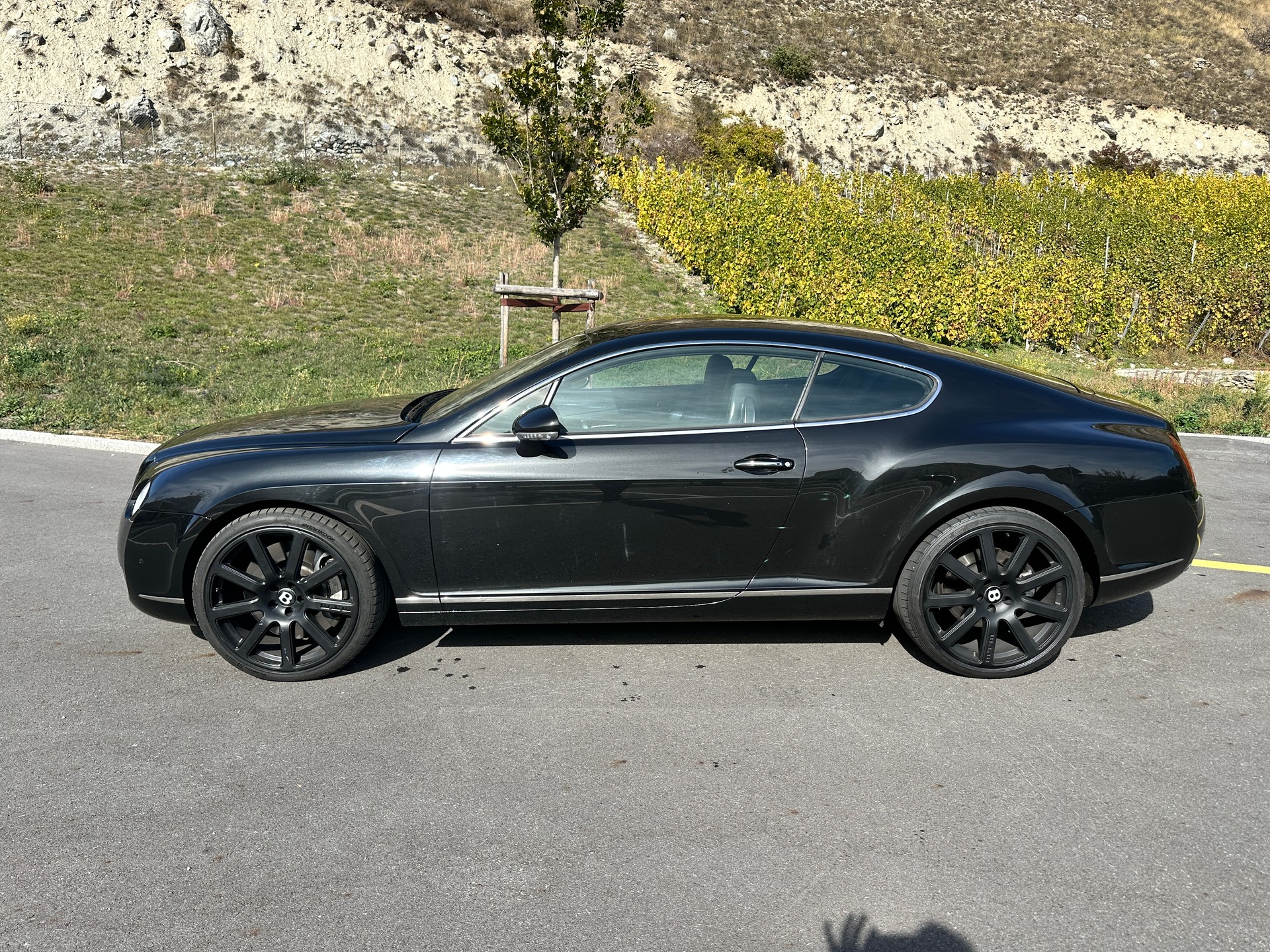 BENTLEY Continental GT 6.0-image-6