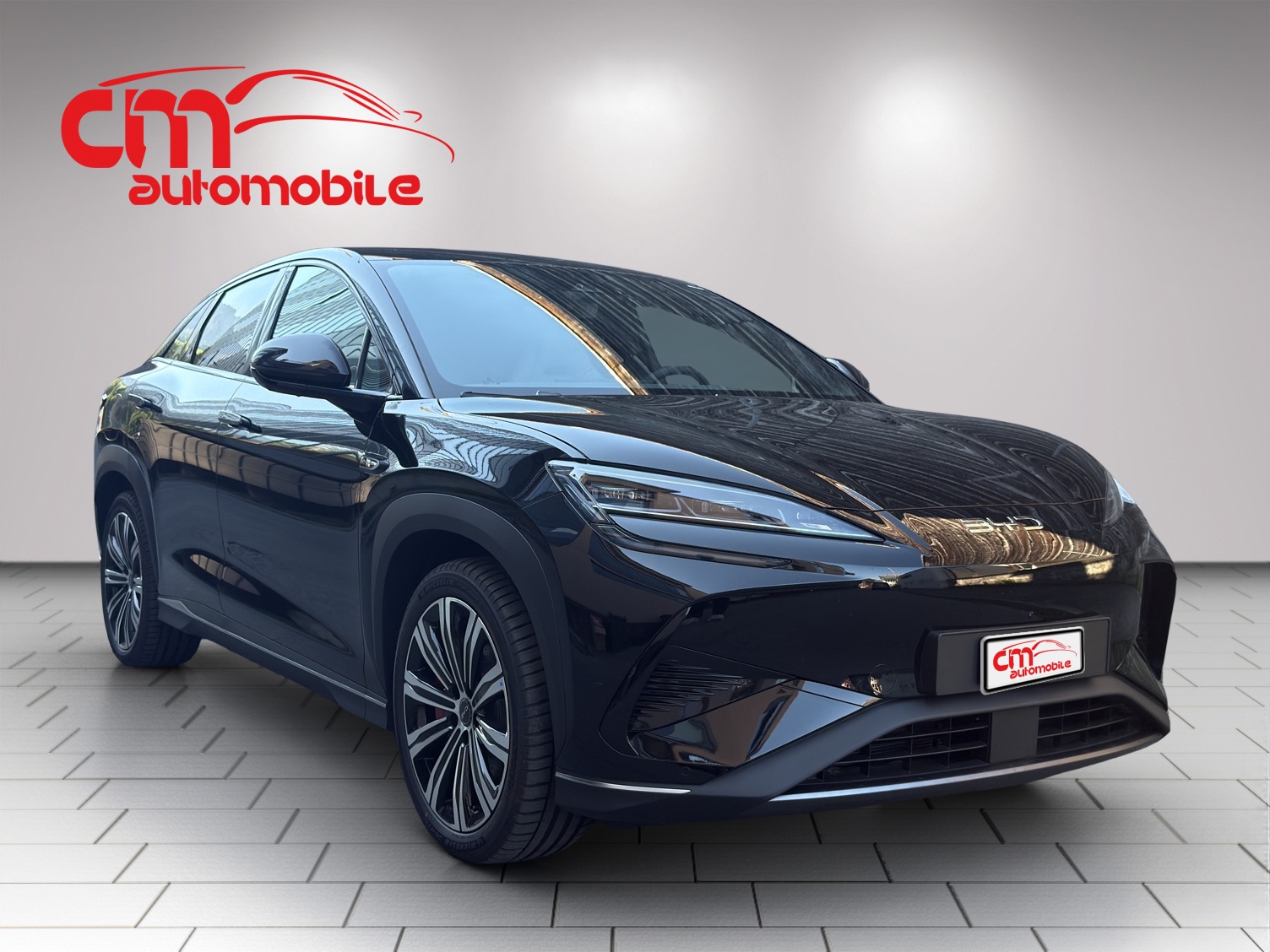 BYD Sealion 7 91,3 kWh Excellence AWD-image-5