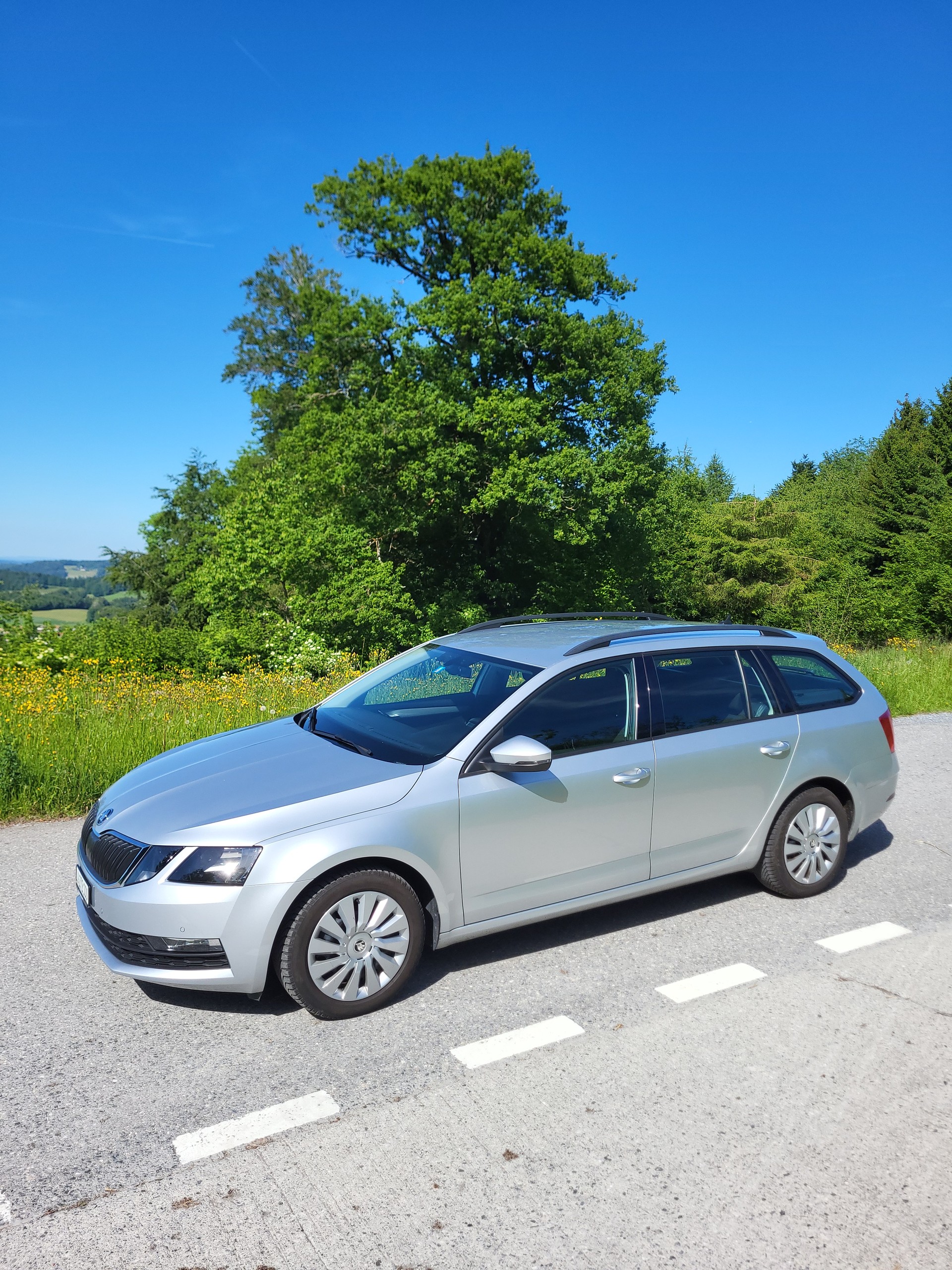 SKODA 1.6 TDI 115 Style DSG