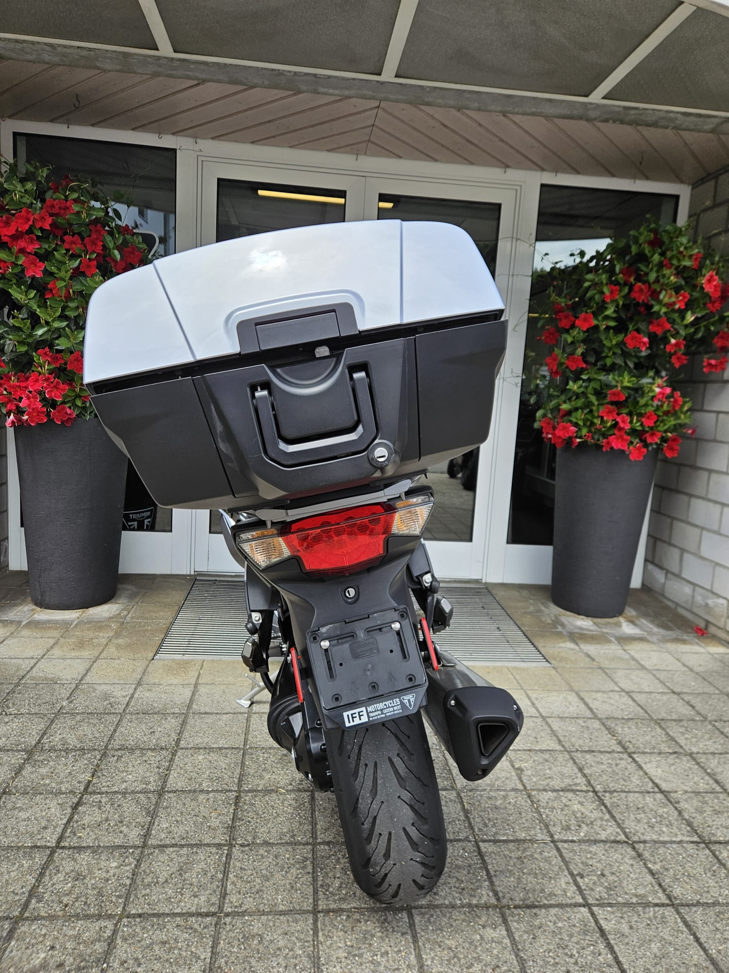 TRIUMPH Trophy 1200 SE ABS-image-6