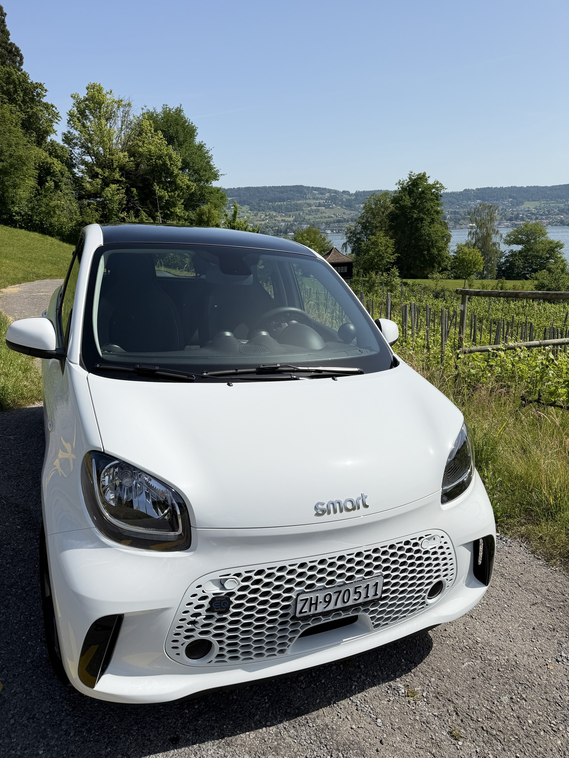 SMART EQ Passion-image-2