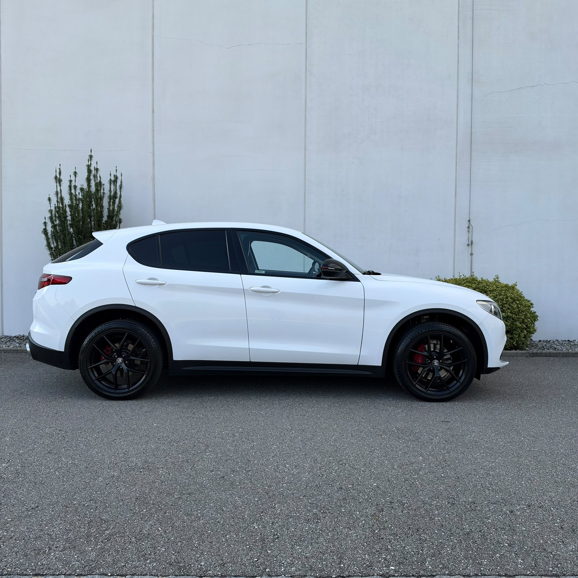 ALFA ROMEO STELVIO-image-1
