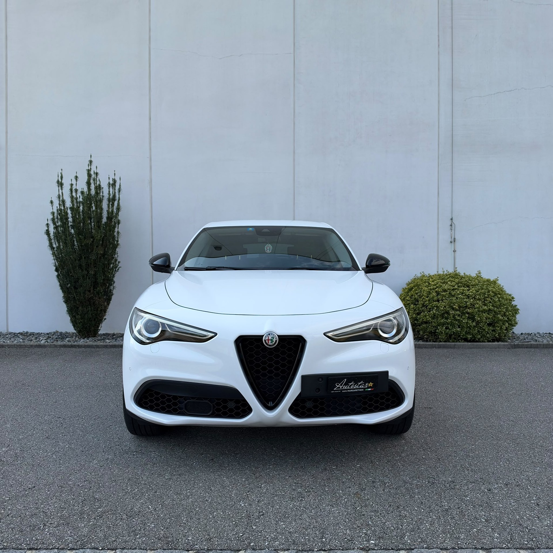 ALFA ROMEO STELVIO-image-2