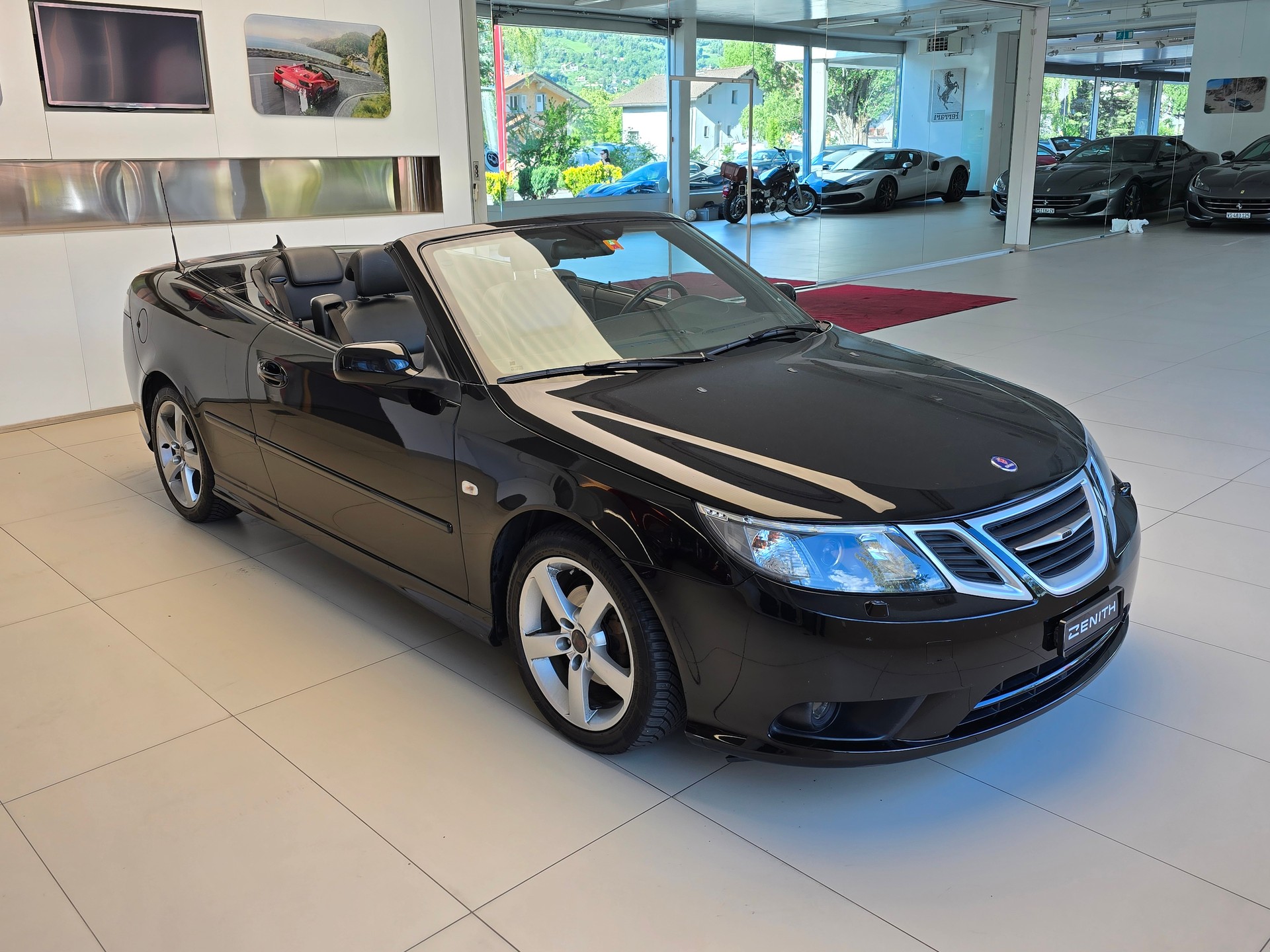 SAAB 2.0 BioPower Hirsch-image-2