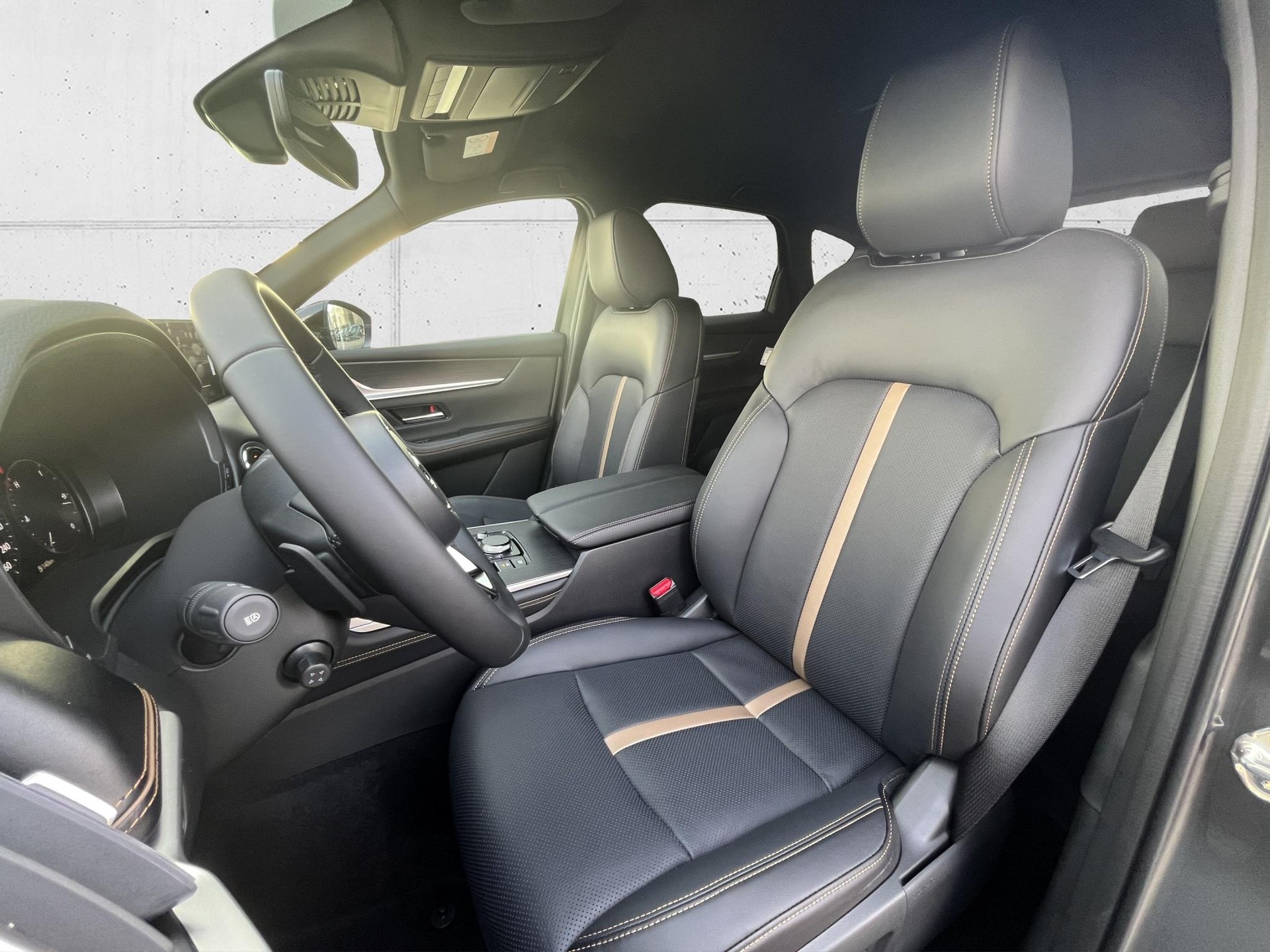 MAZDA CX-60 3.3 D Homura-image-8