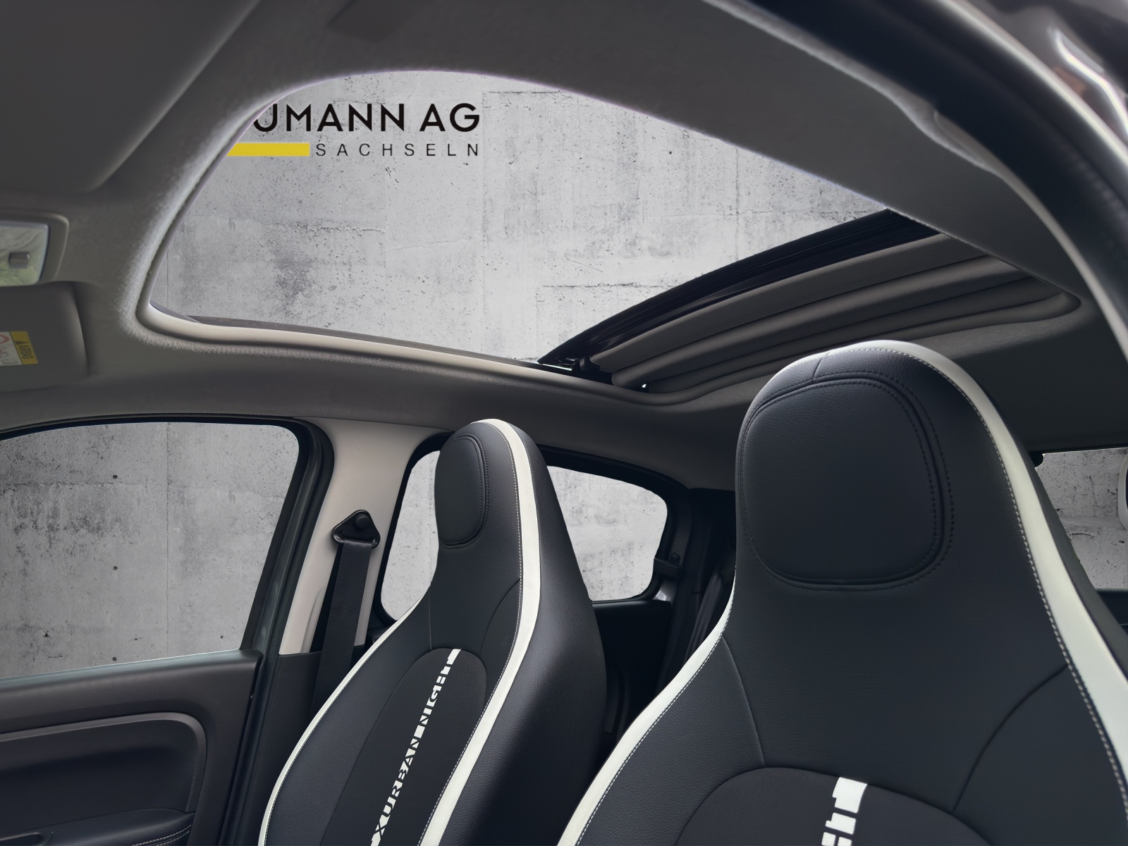RENAULT Twingo 100% Electric Urban Night-image-13