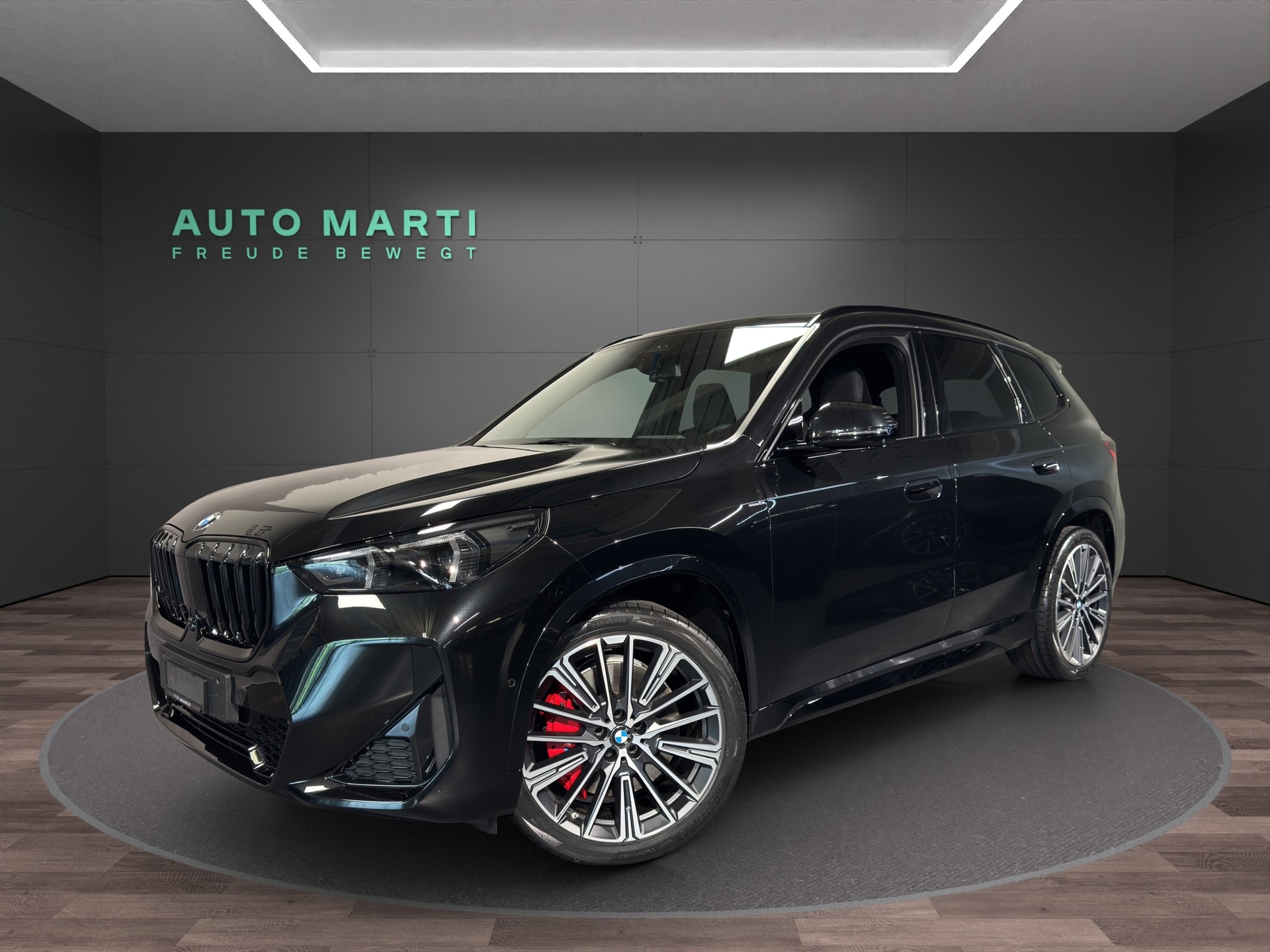 BMW X1 20i sDrive paddles-image-0