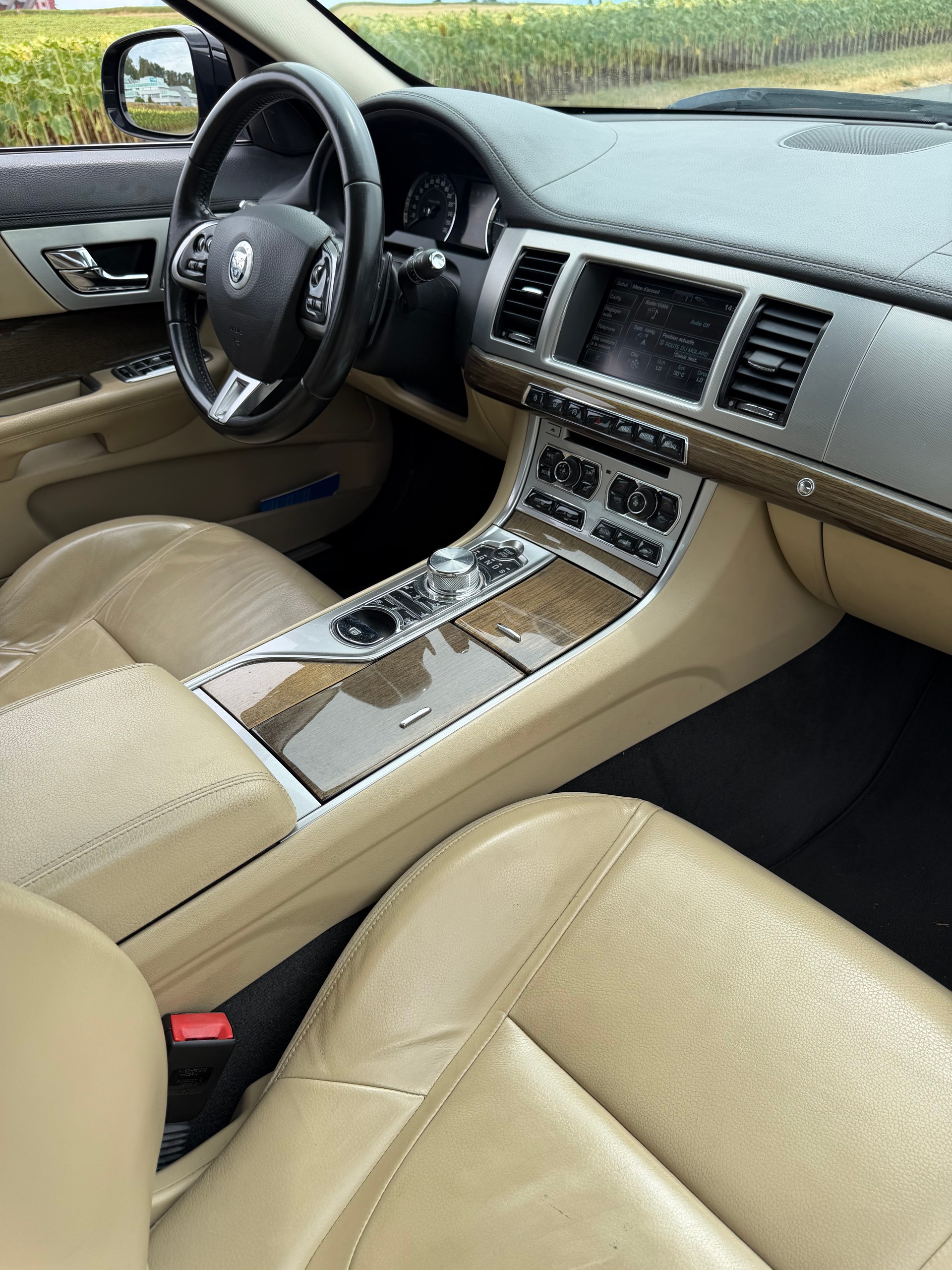 JAGUAR XF 3.0d V6 Luxury-image-7
