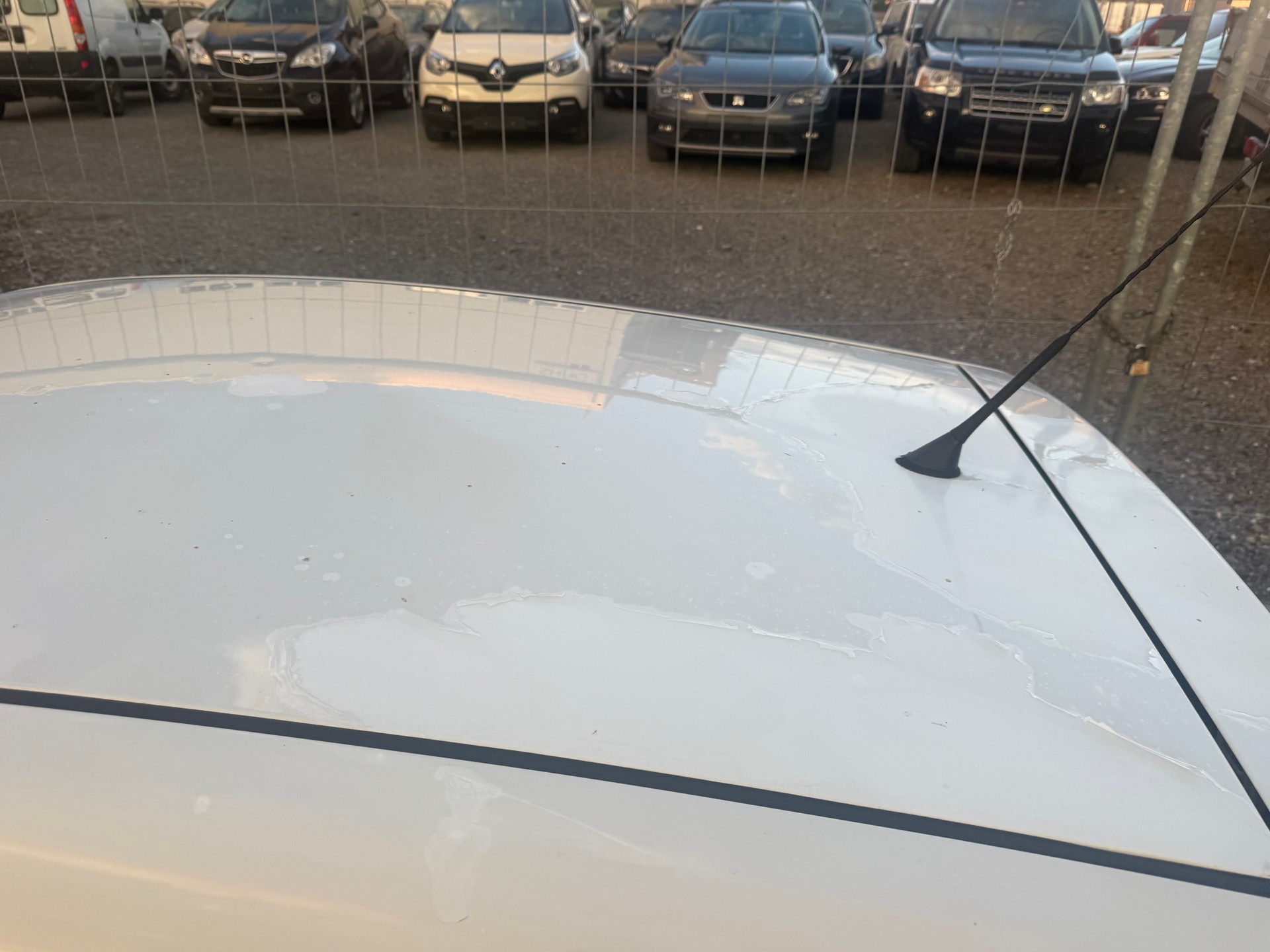 FIAT Punto 1.4 Dynamic-image-9