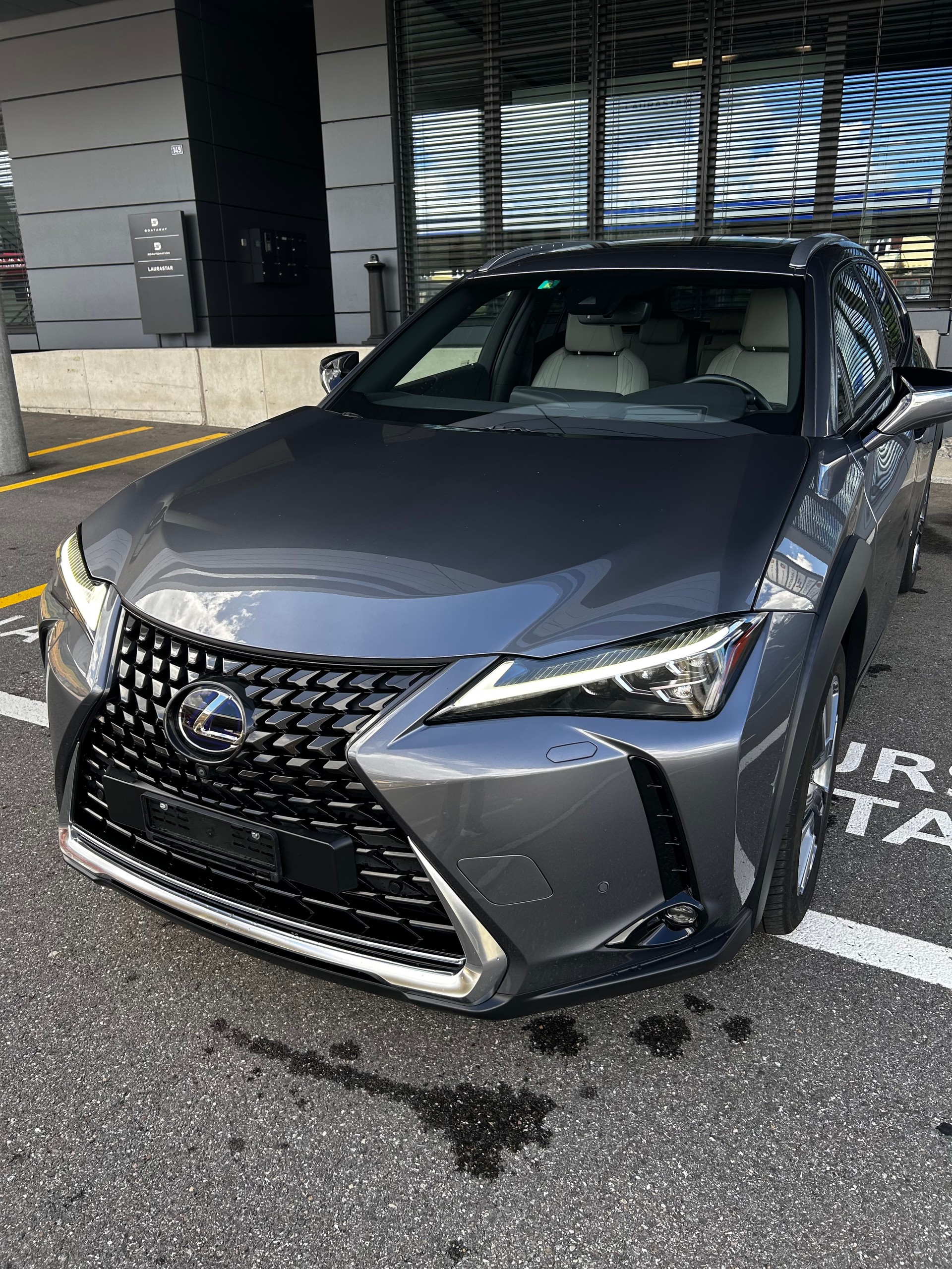 LEXUS 300e Excellence-image-0