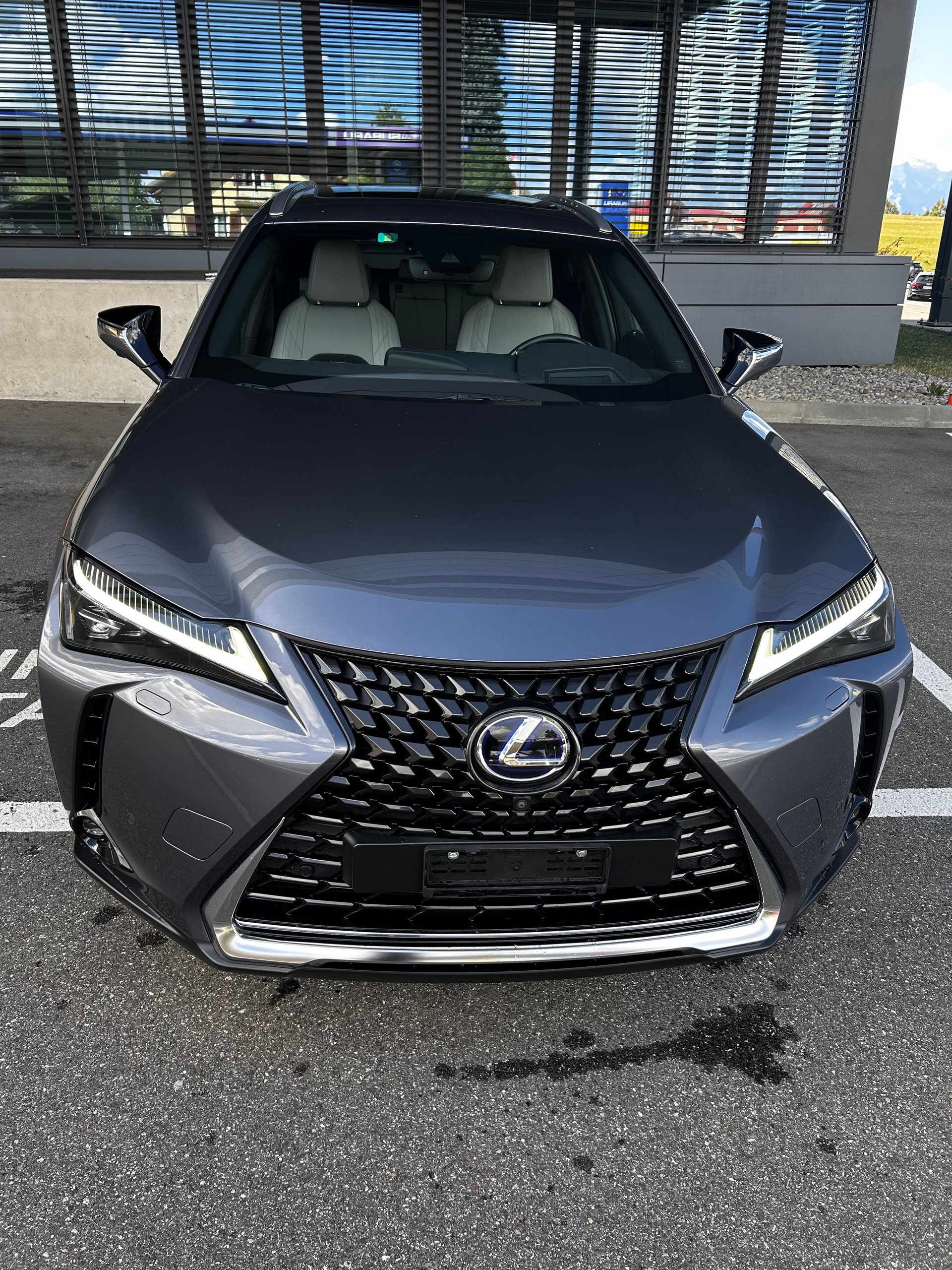 LEXUS 300e Excellence-image-14