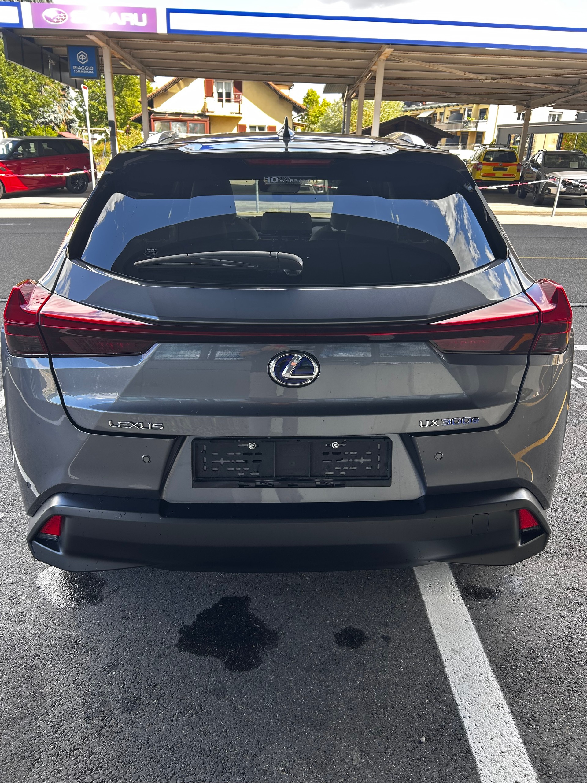 LEXUS 300e Excellence-image-13
