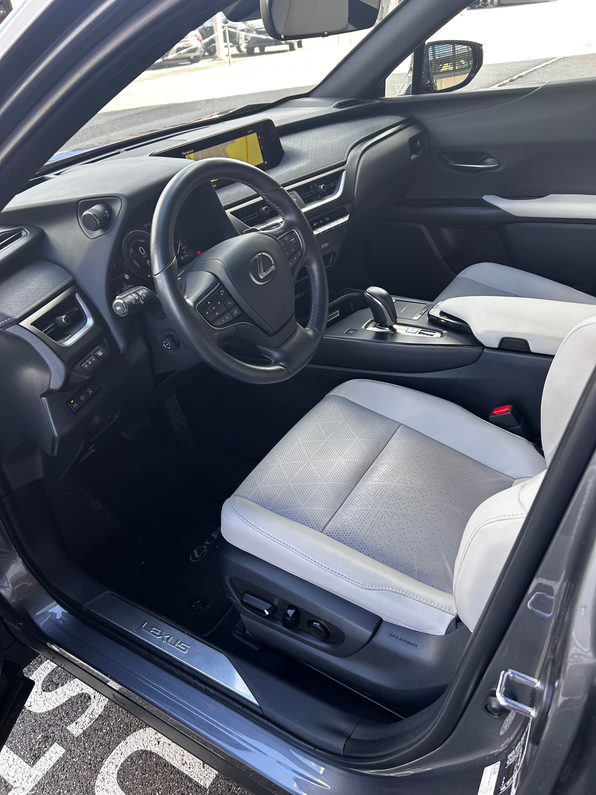 LEXUS 300e Excellence-image-2