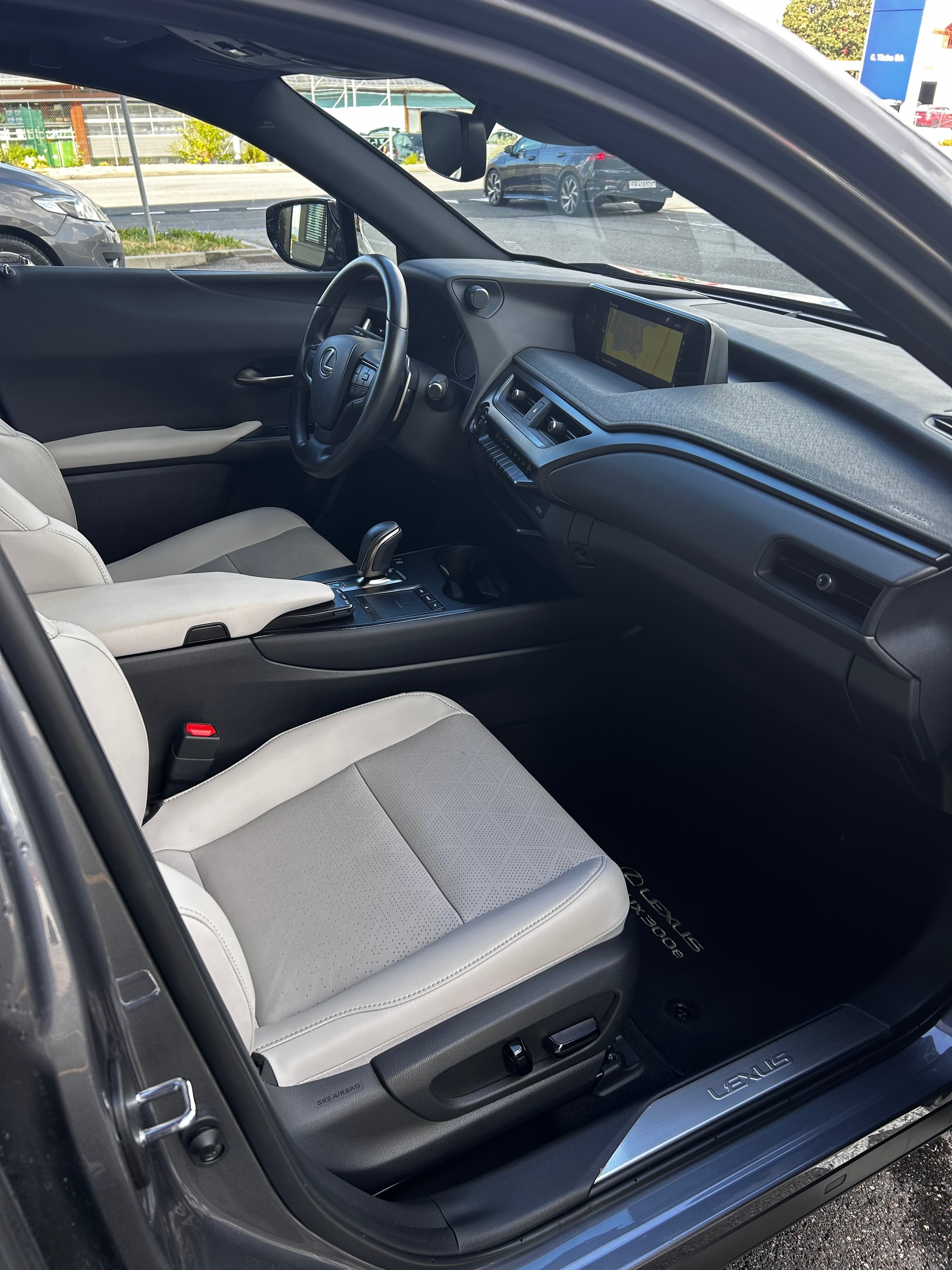 LEXUS 300e Excellence-image-11