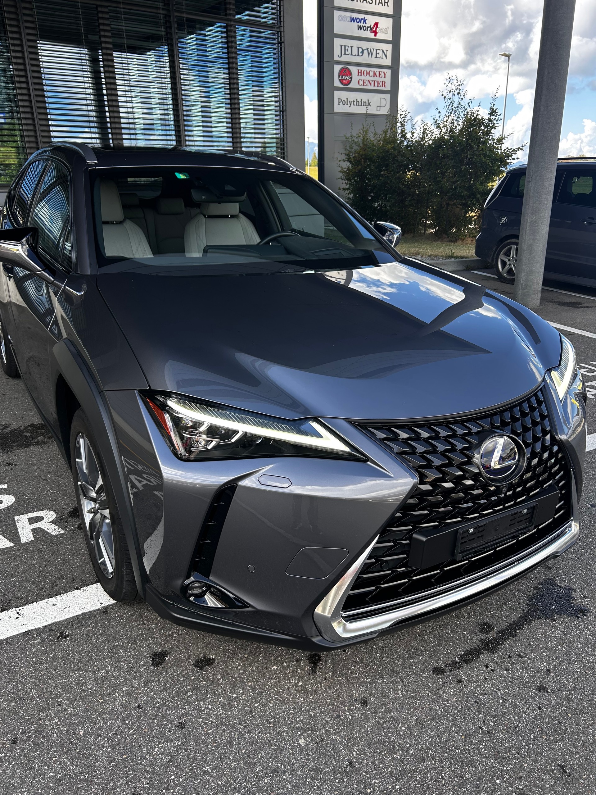 LEXUS 300e Excellence-image-1