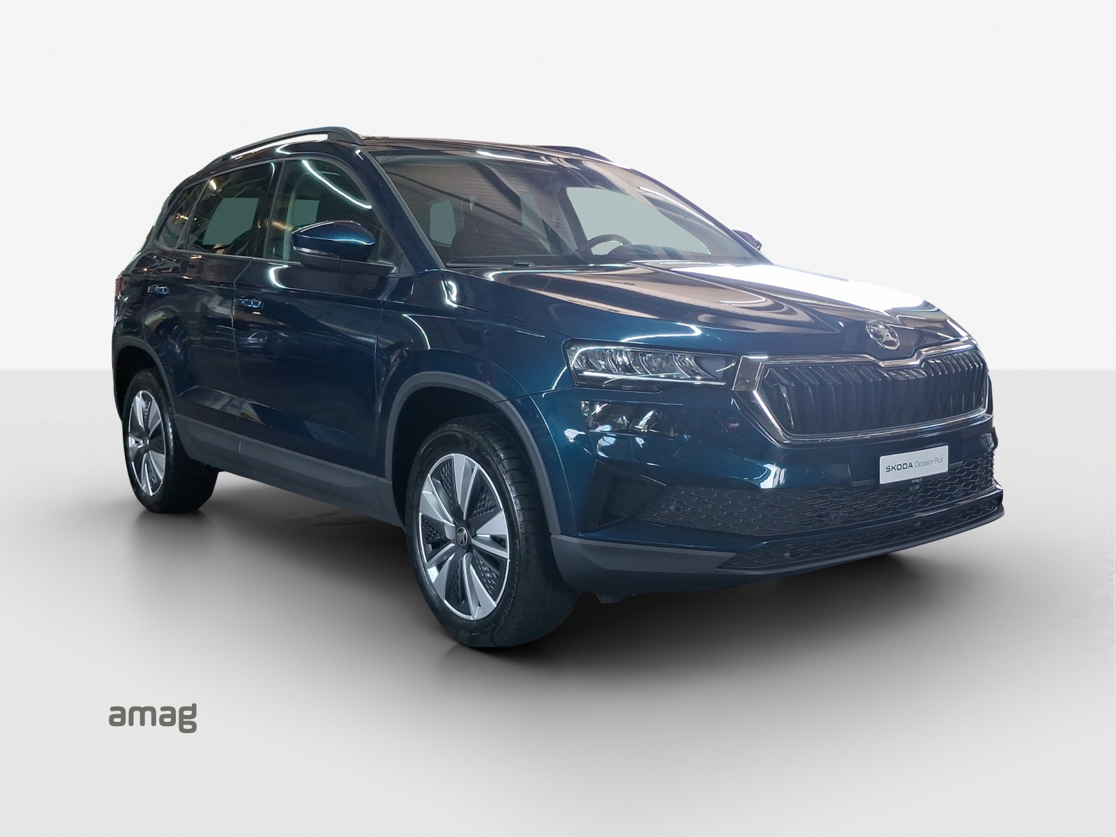 SKODA Karoq 1.5 TSI Ambition DSG-image-5