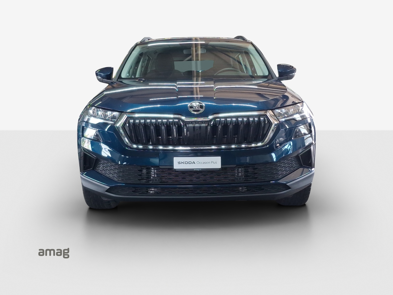 SKODA Karoq 1.5 TSI Ambition DSG-image-6