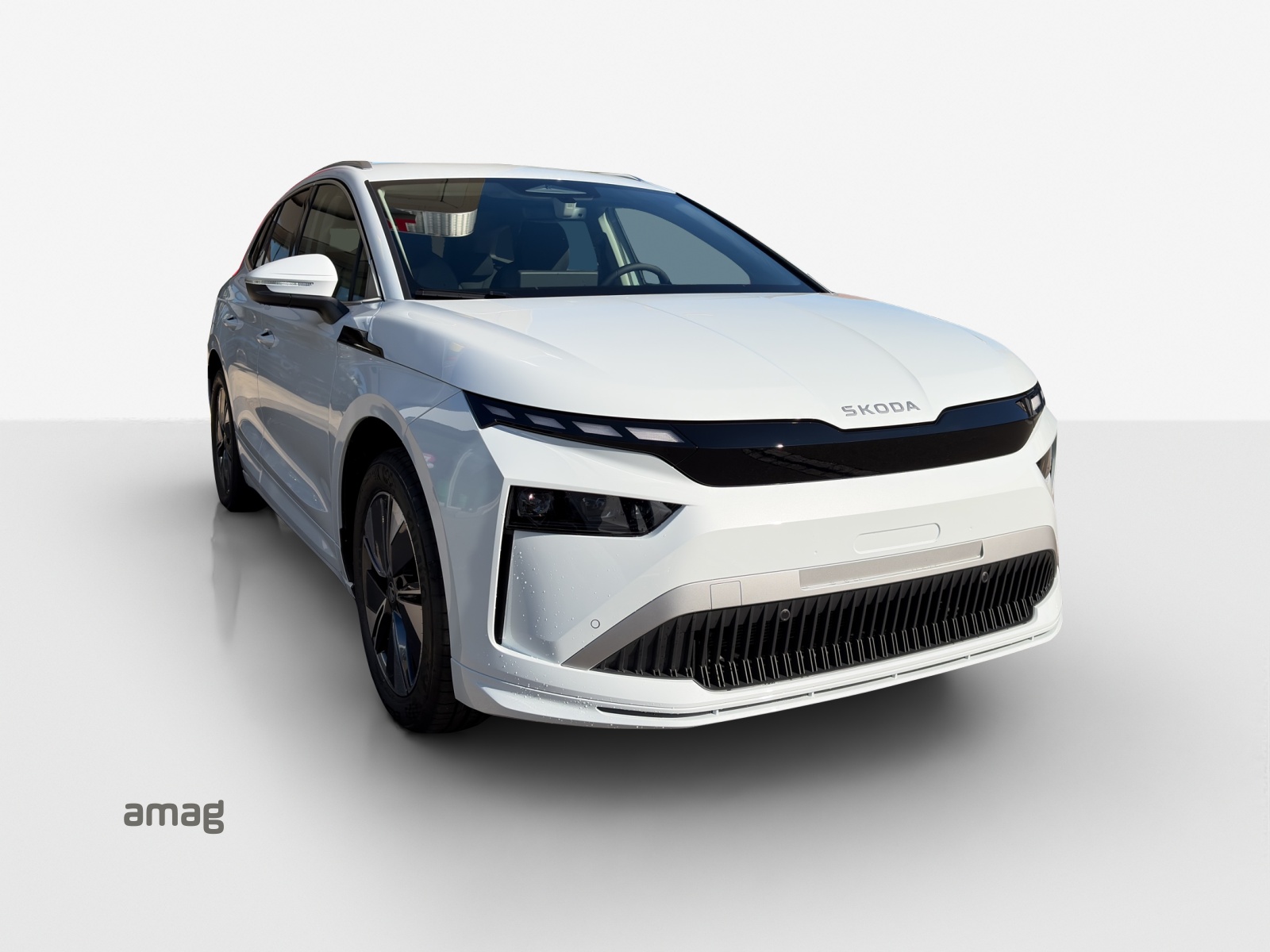 SKODA Enyaq 85x Dynamic 4x4-image-5