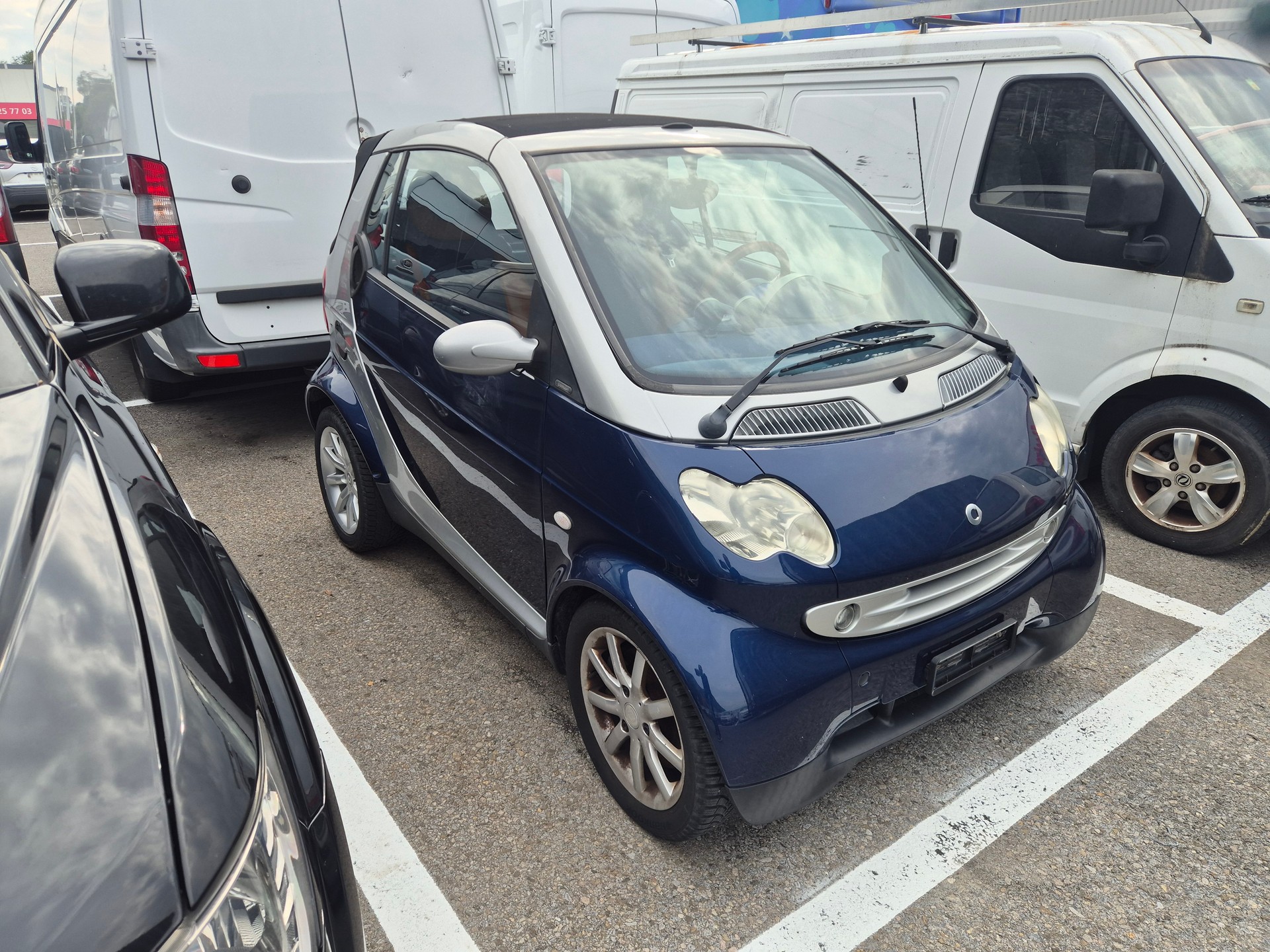 SMART-image-1