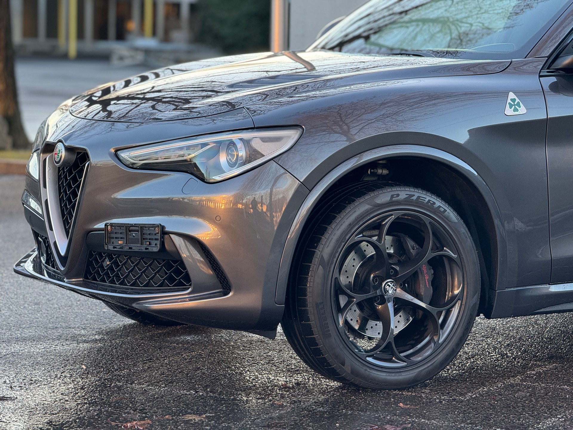 ALFA ROMEO Stelvio 2.9 V6 Quadrifoglio Q4 Automatic GREY 399.-- pro Monat-image-5