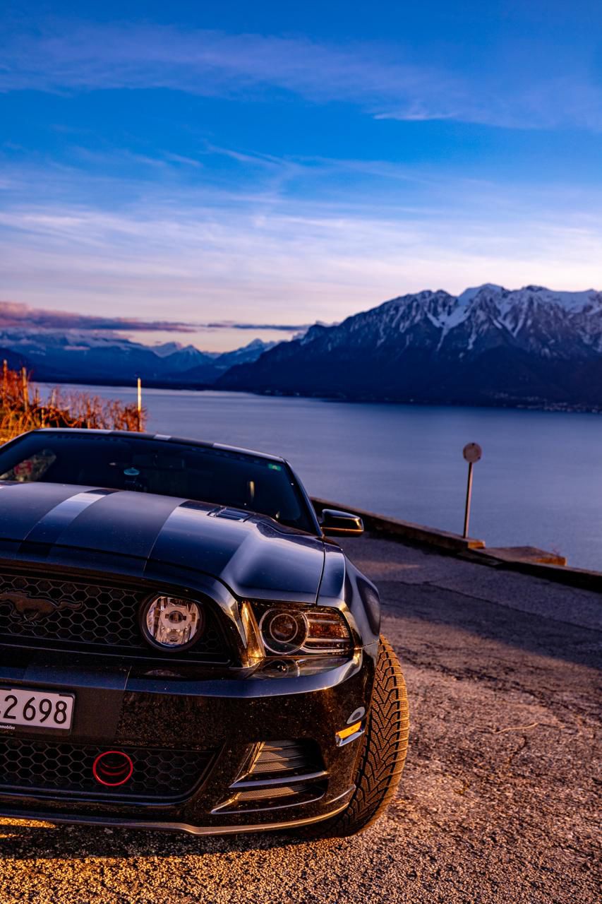 FORD GT-image-2
