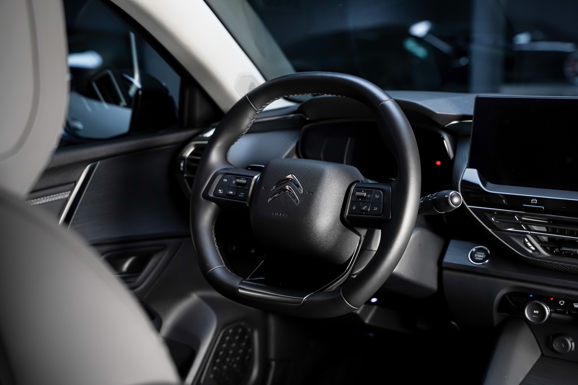 CITROEN C5 X 1.2i PureTech Shine EAT8-image-18