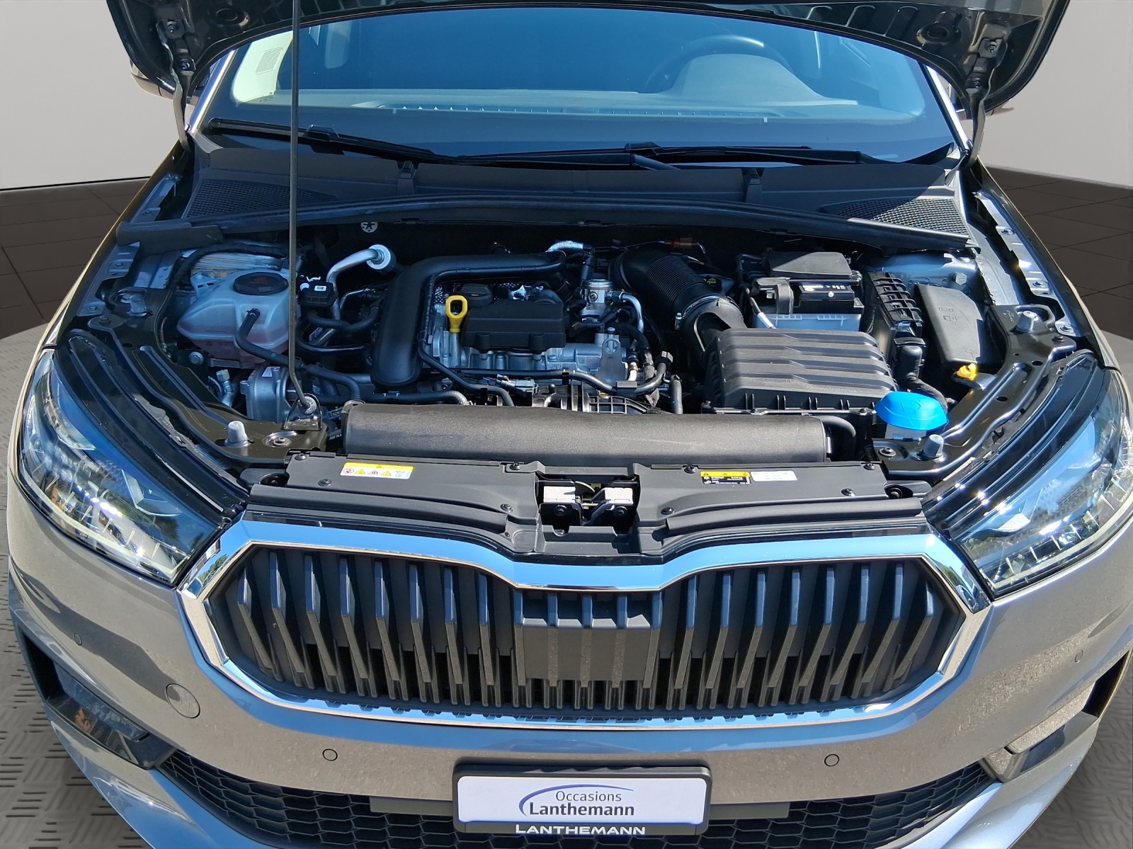 SKODA Fabia 1.0 TSI Style-image-19