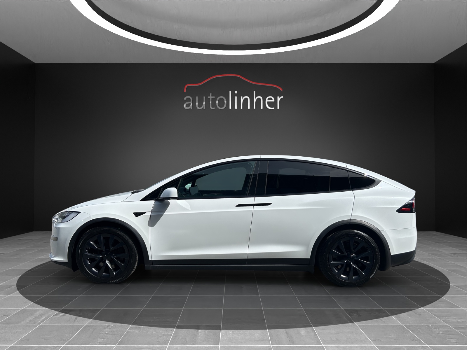 TESLA Model X 100kWh Palladium-showroom-element-1