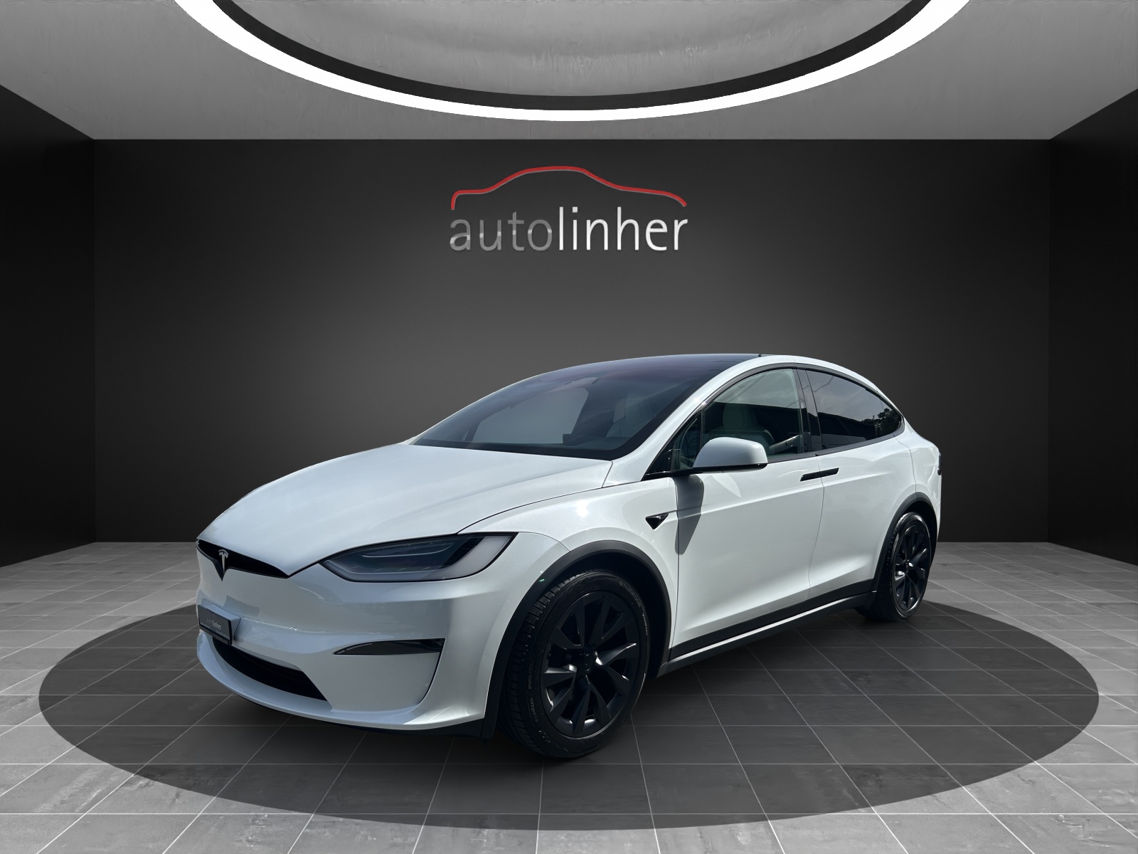 TESLA Model X 100kWh Palladium