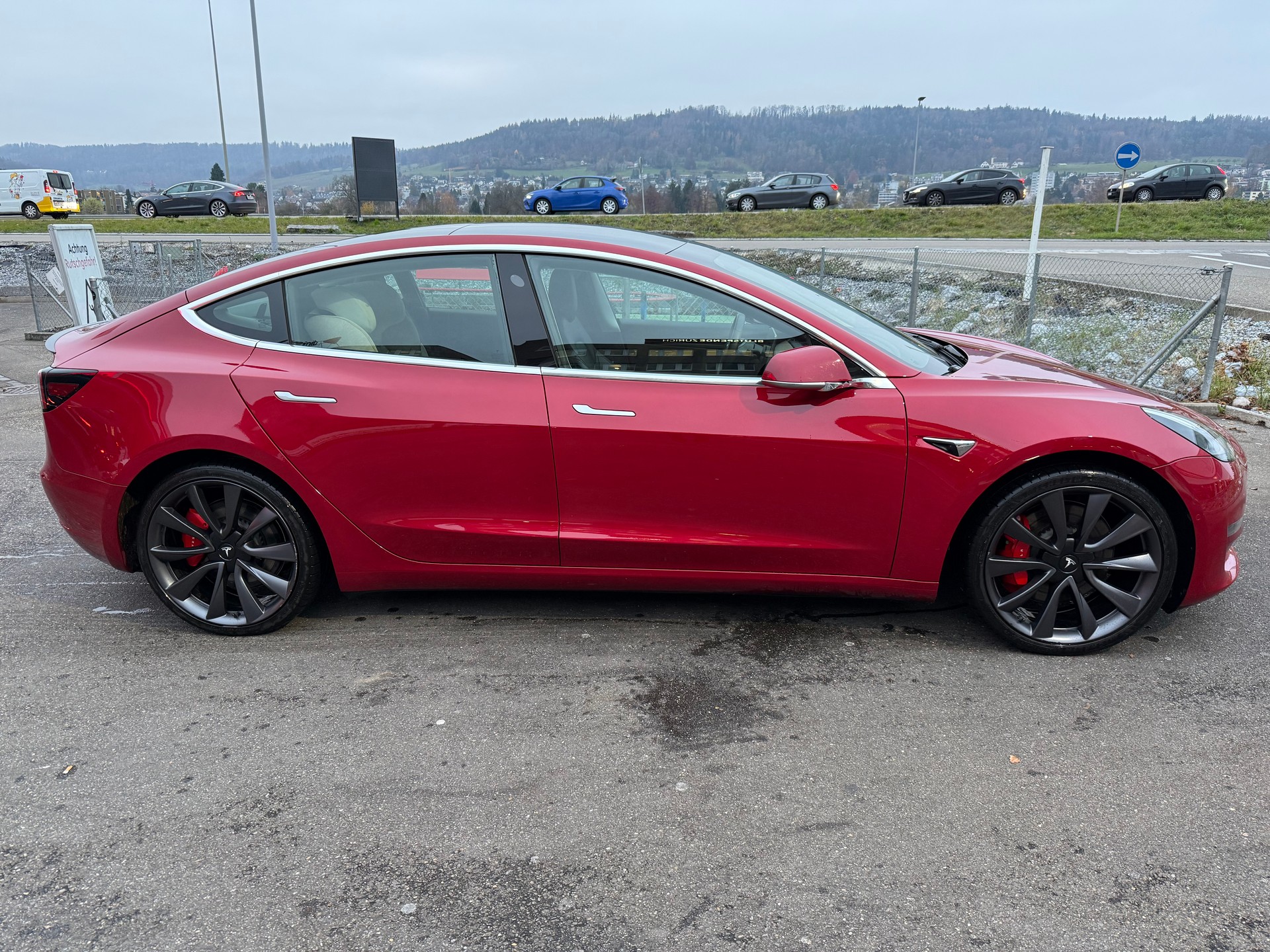 TESLA Performance-image-0