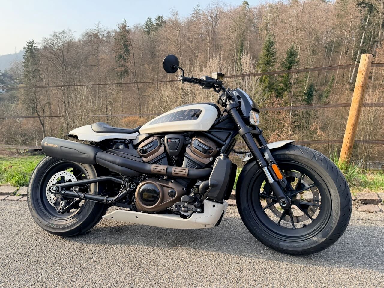 HARLEY-DAVIDSON RH 1250 Sportster S