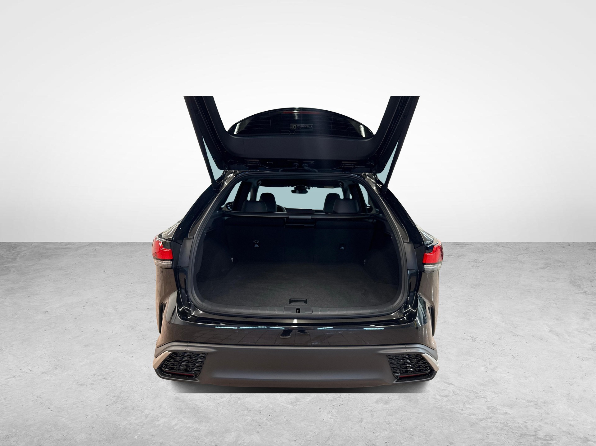 LEXUS RX 450h+ F-Line-image-11