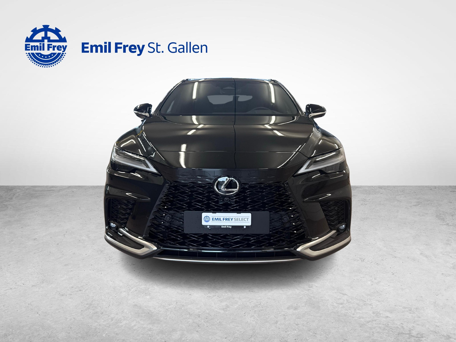 LEXUS RX 450h+ F-Line-image-7