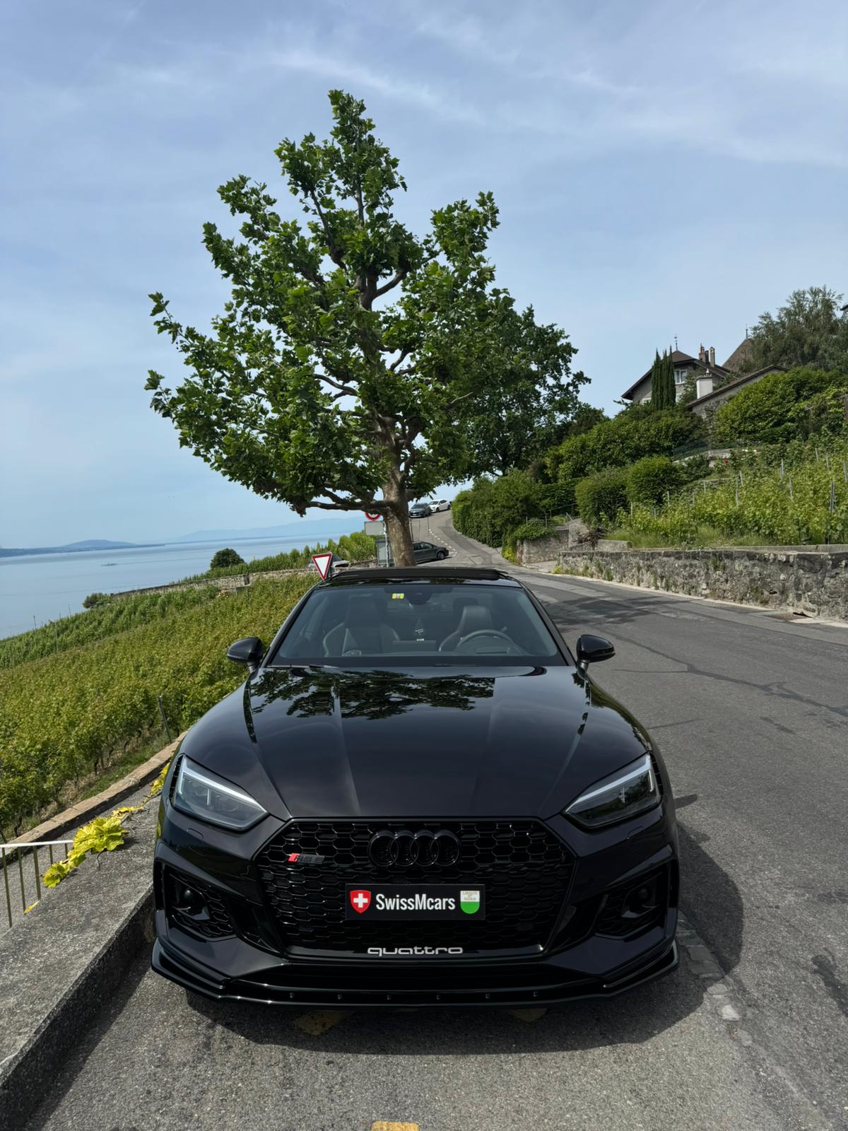 AUDI RS5 Coupé 2.9 TFSI quattro tiptronic-image-2