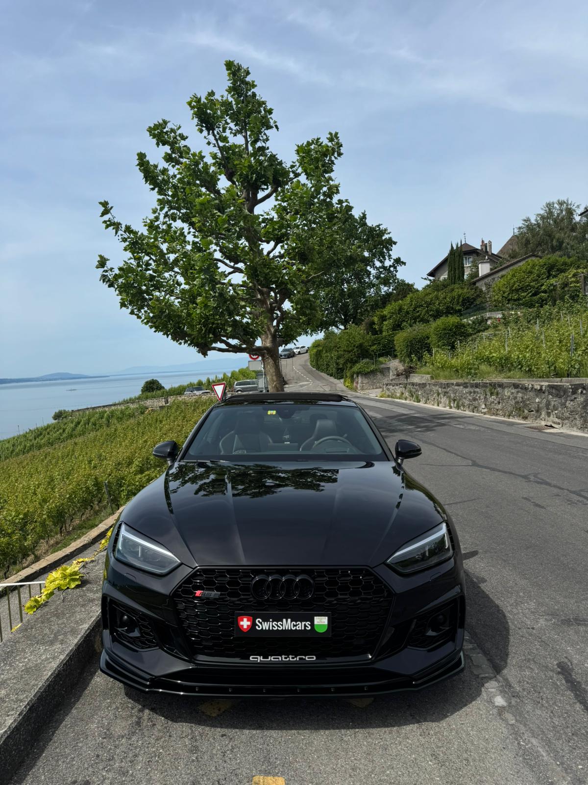 AUDI RS5 Coupé 2.9 TFSI quattro tiptronic-image-15