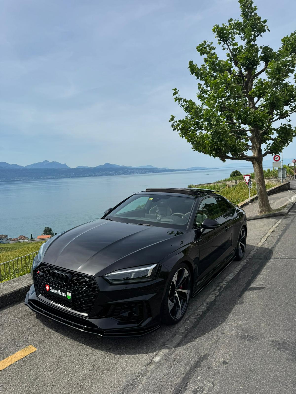 AUDI RS5 Coupé 2.9 TFSI quattro tiptronic-image-16